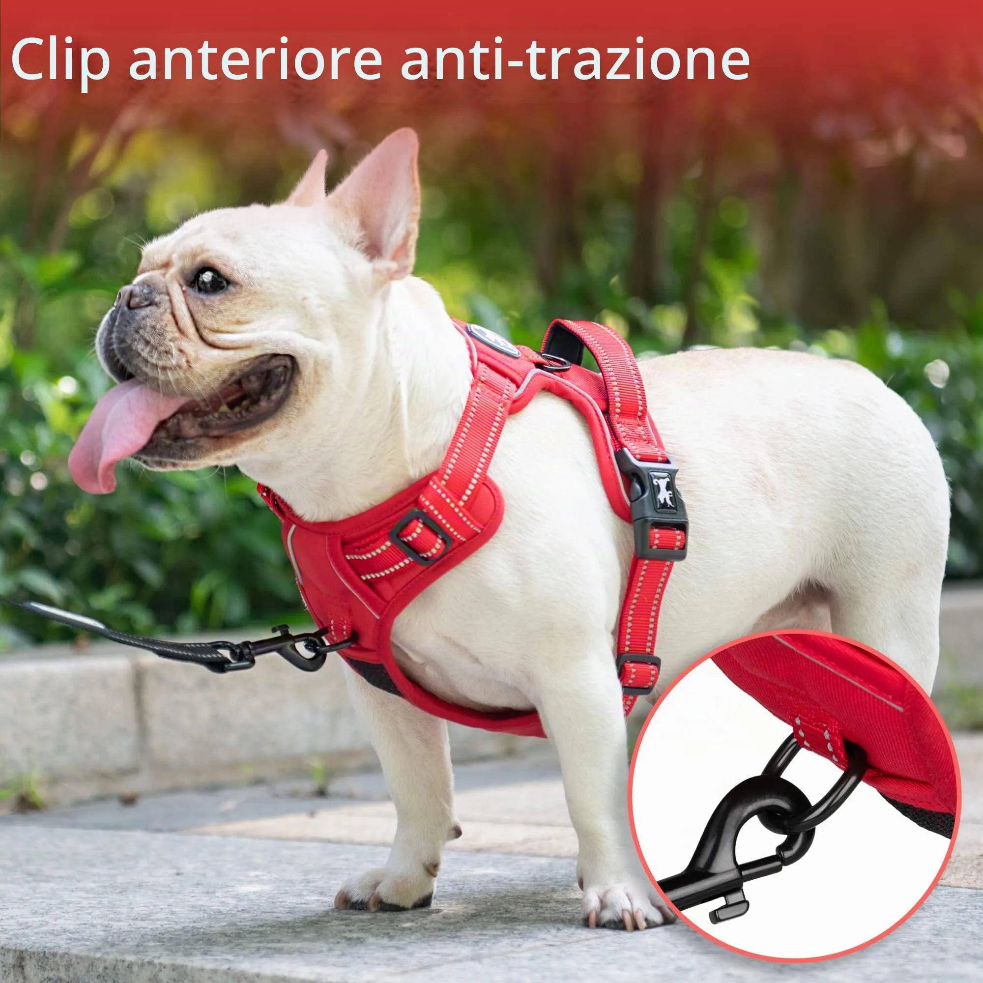 PoyPet Pettorina per cani anti-tiro, riflettente, regolabile e imbottita, Taglia M, Rosso - immagine 4