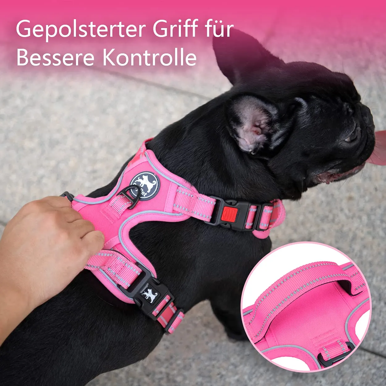PoyPet Pettorina Anti-tiro Riflettente per Cani Taglia M, Gilet Imbottito Regolabile con Impugnatura, Rosa - immagine 5