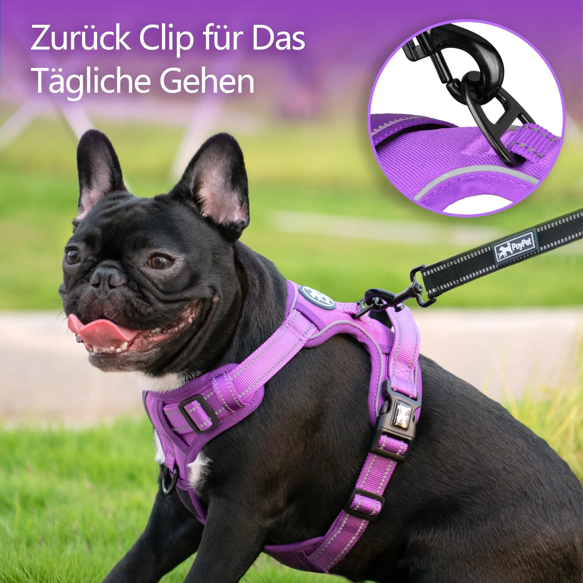 PoyPet Imbracatura per Cani Senza Trazione, Riflettente, Regolabile e Imbottita con Maniglia di Controllo, Taglia XL, Viola - immagine 3