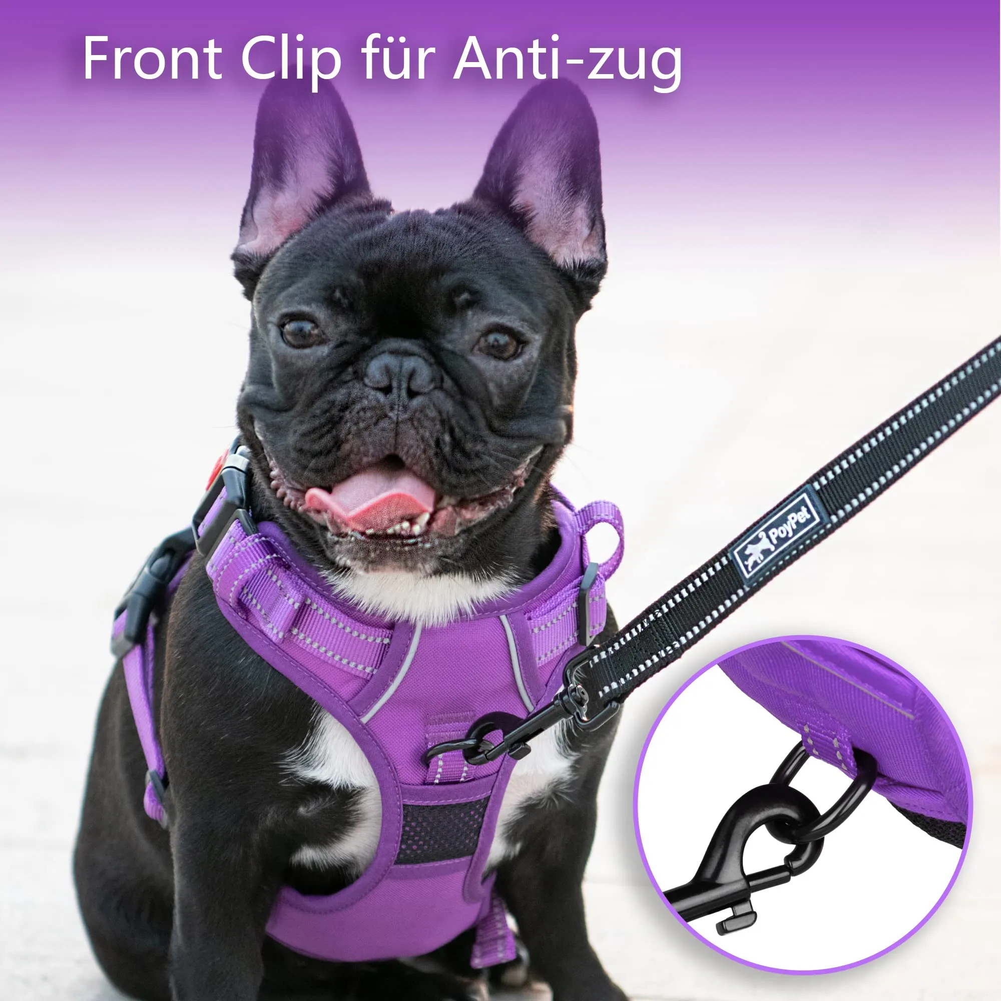 PoyPet Imbracatura per Cani Senza Trazione, Riflettente, Regolabile e Imbottita con Maniglia di Controllo, Taglia XL, Viola - immagine 4