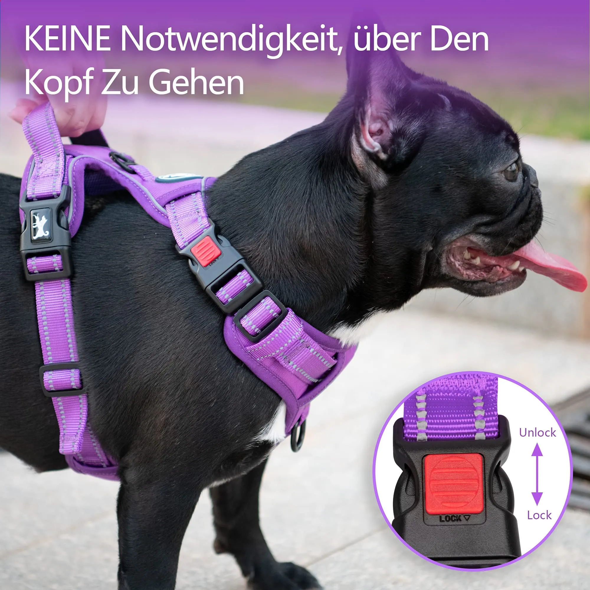 PoyPet Imbracatura per Cani Senza Trazione, Riflettente, Regolabile e Imbottita con Maniglia di Controllo, Taglia XL, Viola - immagine 5