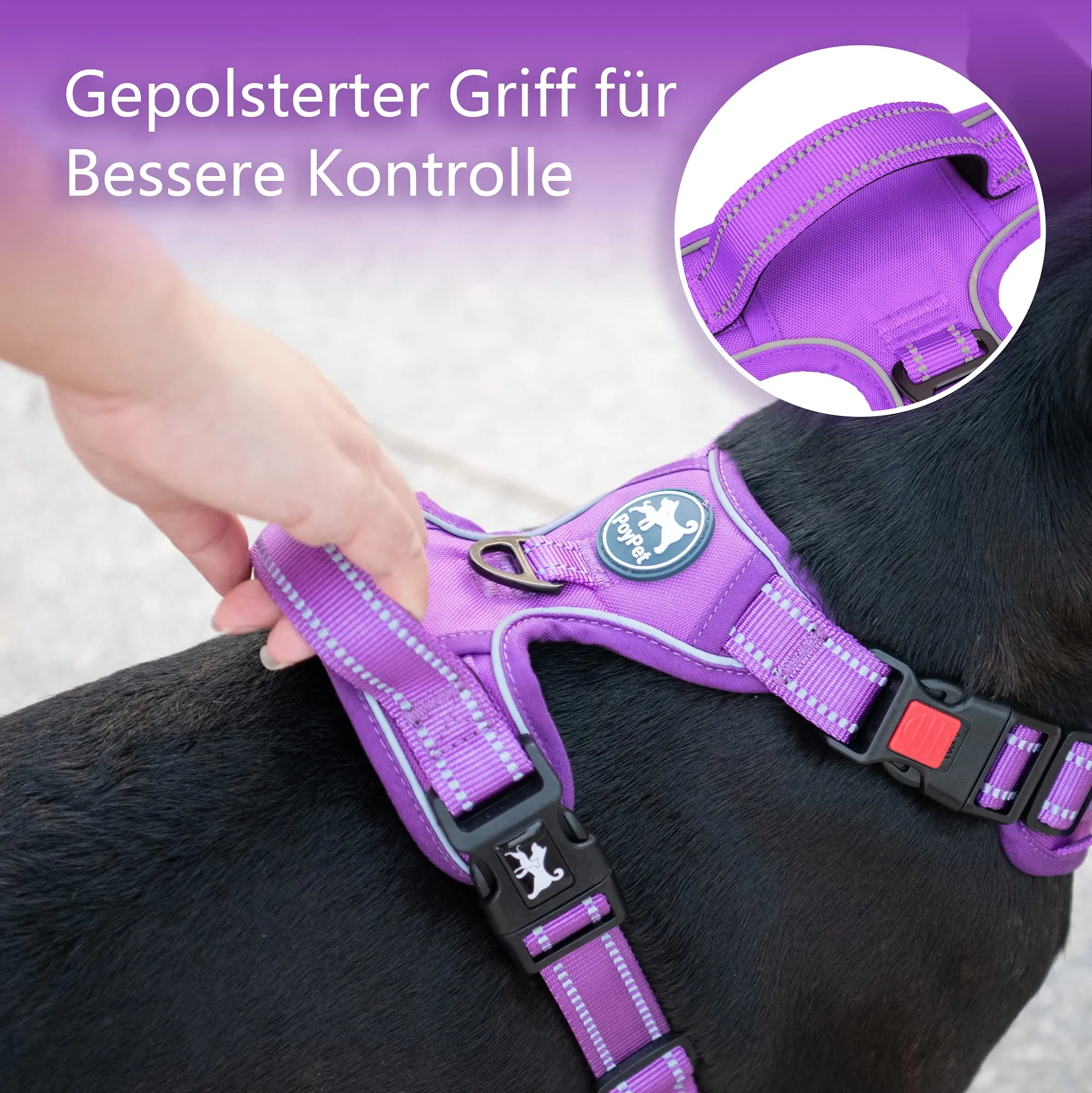 PoyPet Imbracatura per Cani Senza Trazione, Riflettente, Regolabile e Imbottita con Maniglia di Controllo, Taglia XL, Viola - immagine 6