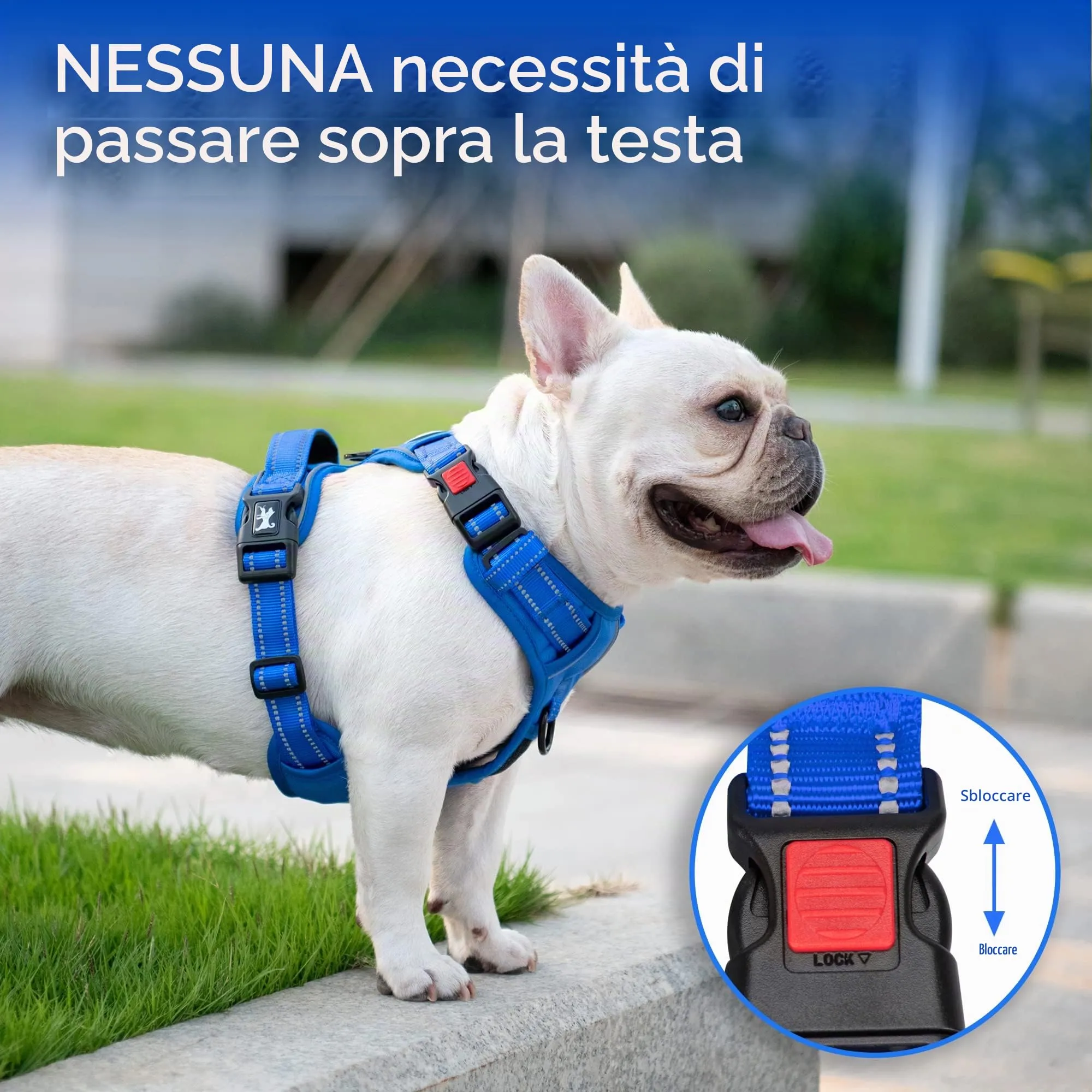 PoyPet Pettorina Riflettente per Cani, Imbracatura Regolabile e Imbottita con Maniglia di Controllo, Taglia M, Blu Zaffiro - immagine 3