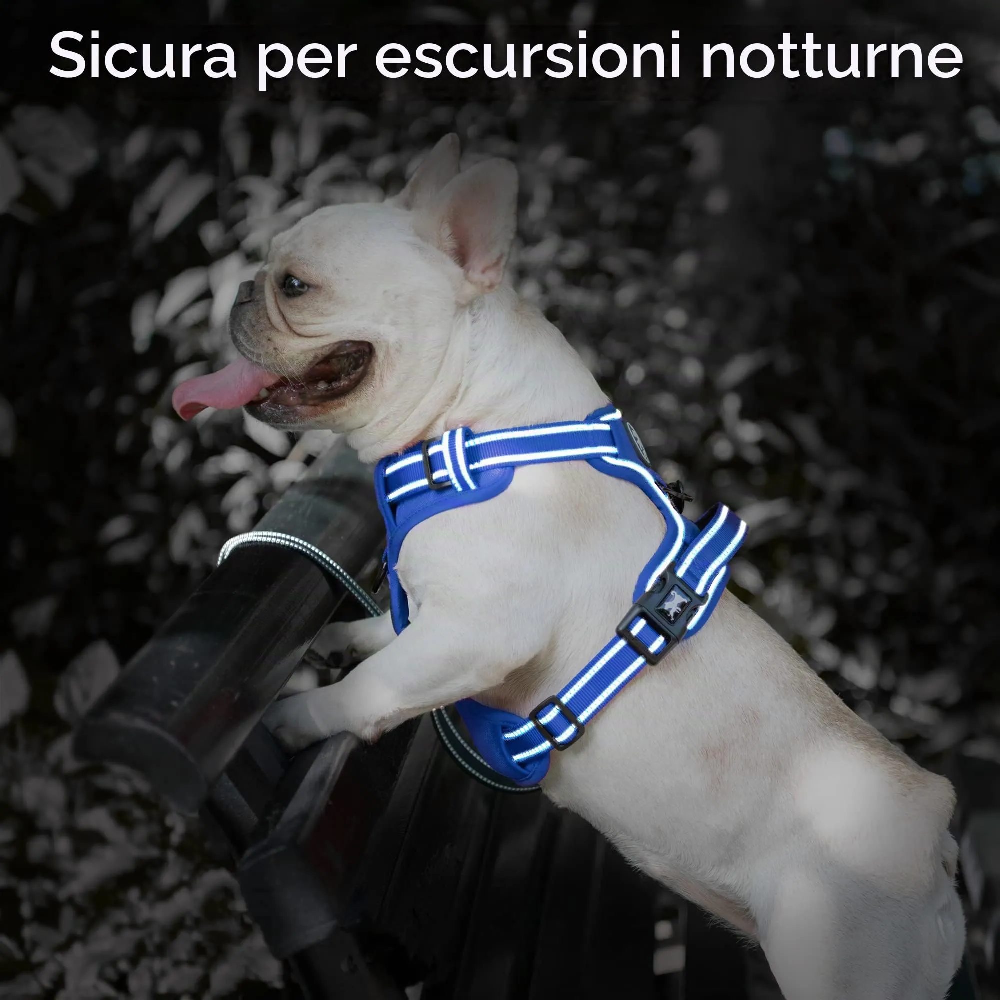 PoyPet Pettorina Riflettente per Cani, Imbracatura Regolabile e Imbottita con Maniglia di Controllo, Taglia M, Blu Zaffiro - immagine 7