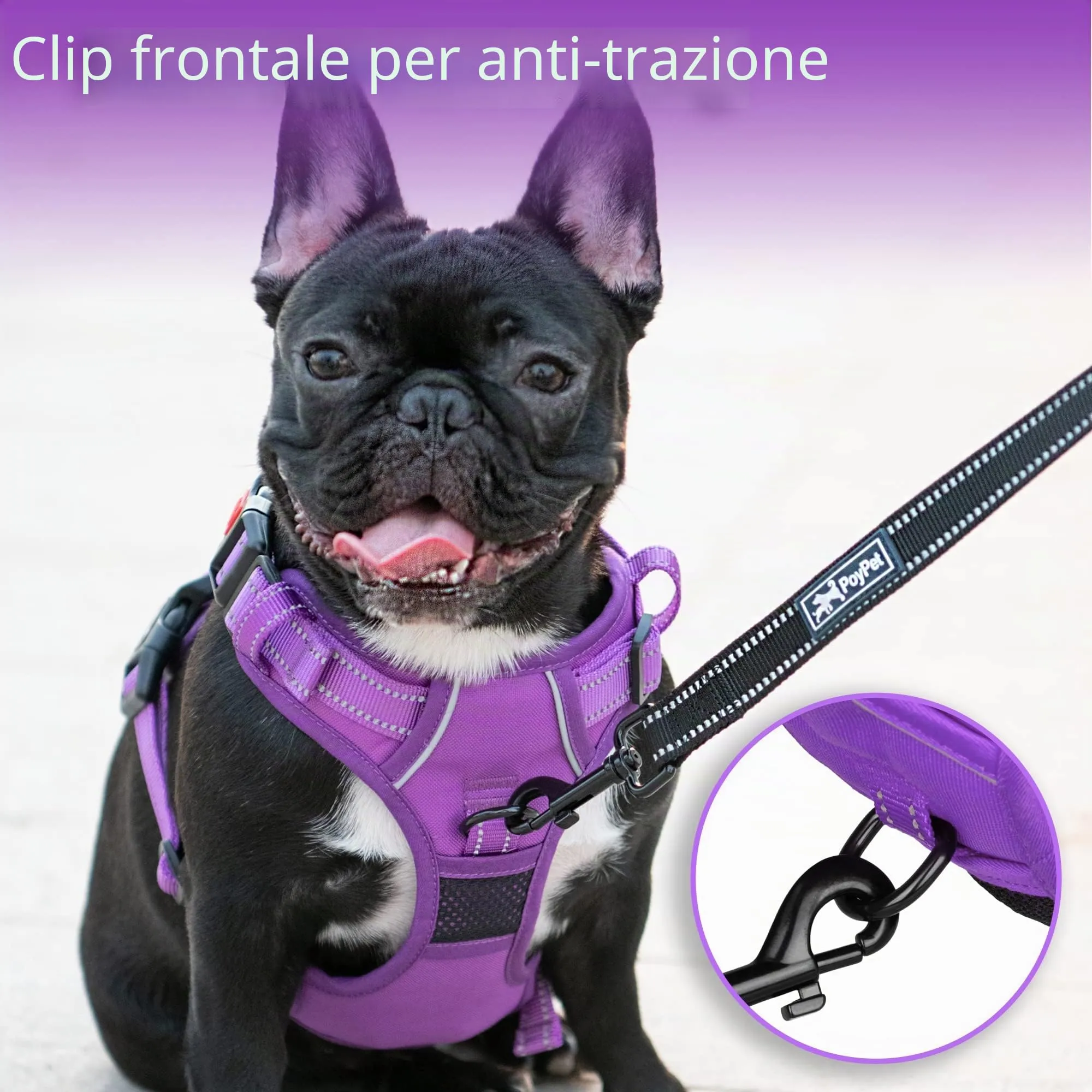 PoyPet Pettorina Riflettente per Cani Taglia L, Anti-trazione e Anti-soffocamento, Regolabile e Imbottita con Maniglia di Controllo - immagine 4