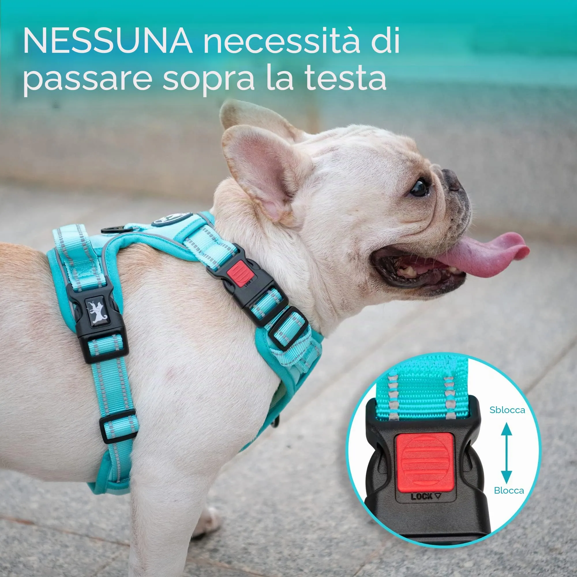 PoyPet Pettorina Anti-tiro Riflettente per Cani, Taglia M, Menta Blu - immagine 3