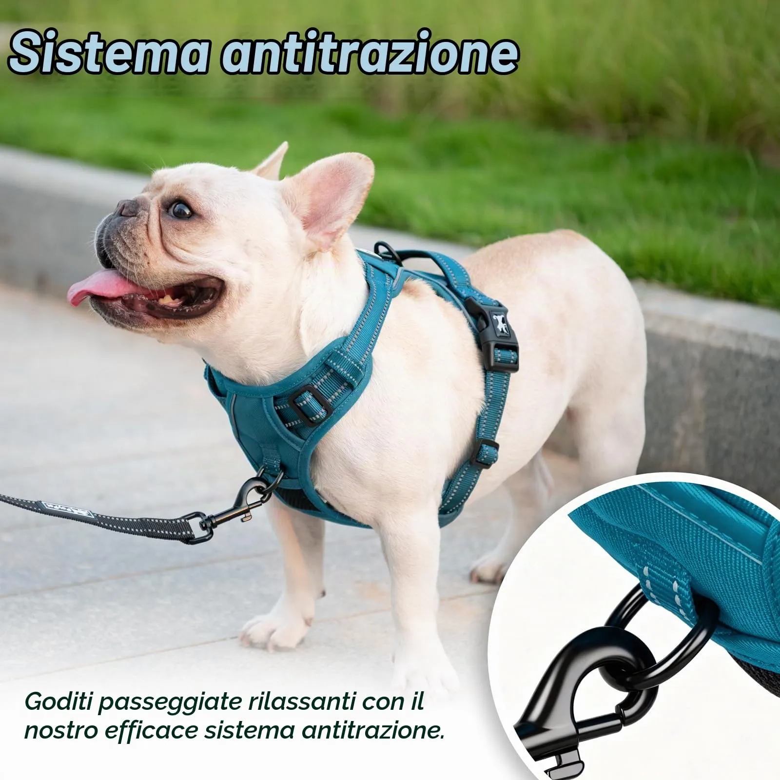 PoyPet Pettorina per Cani Anti-Tiro Riflettente, Gilet Imbottito con Impugnatura, Taglia M, Tumalo Teal - immagine 6