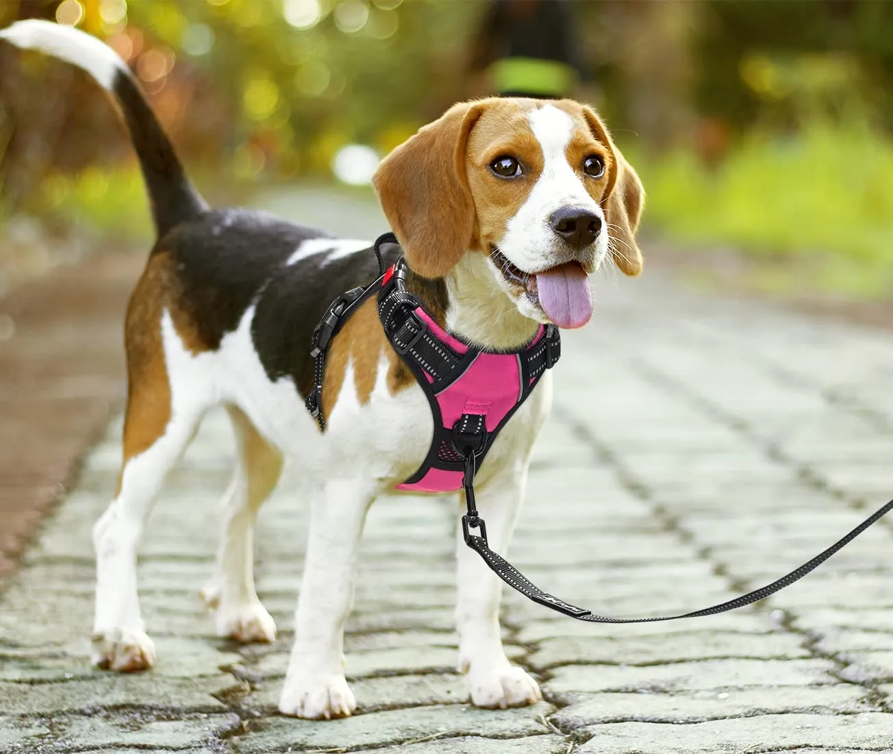 PoyPet Pettorina per Cani Riflettente e Regolabile con Maniglia Easy Control, Rosa, XS - immagine 5