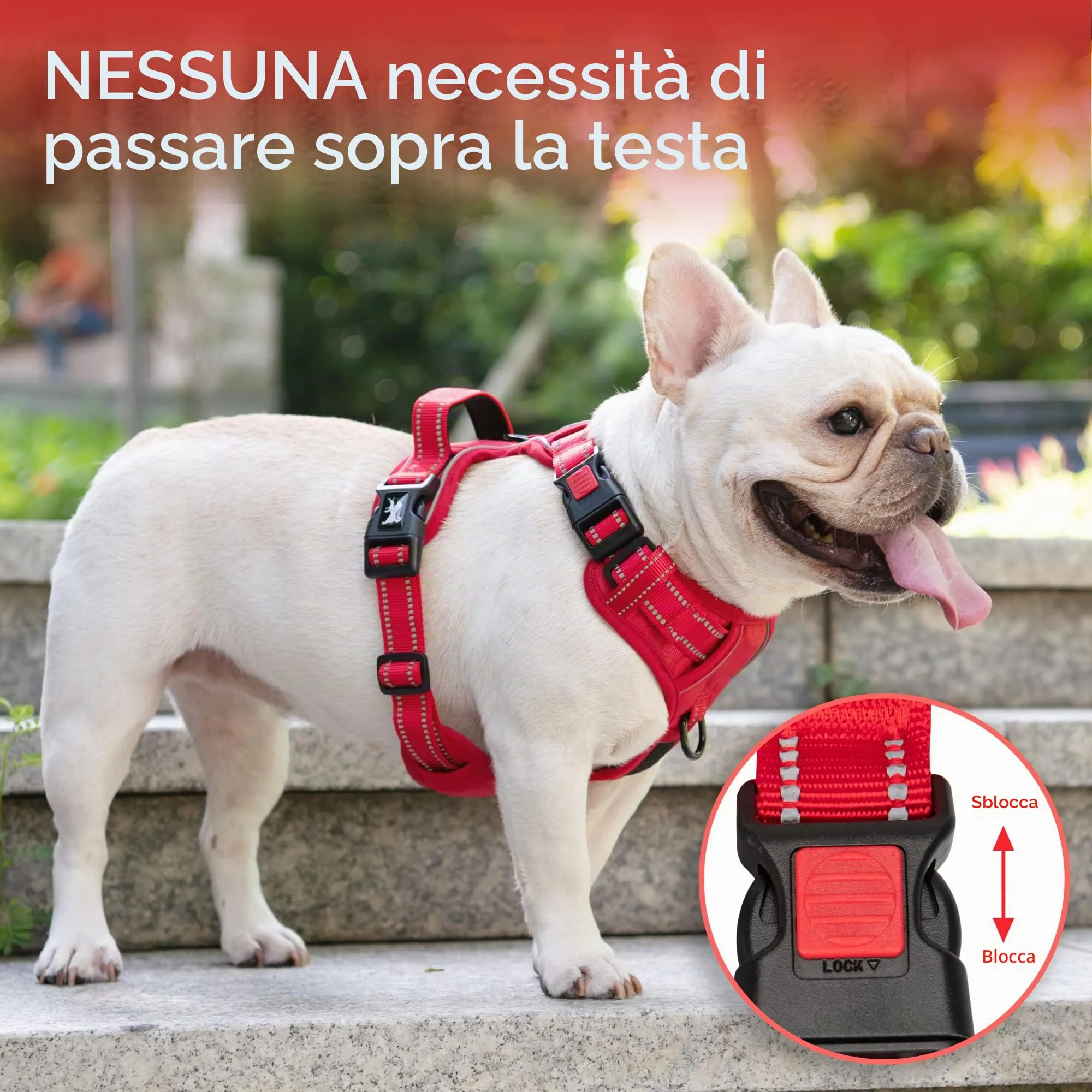 PoyPet Pettorina per cani senza trazione, riflettente, regolabile e imbottita con impugnatura di controllo, XS, Bordo rosso - immagine 3