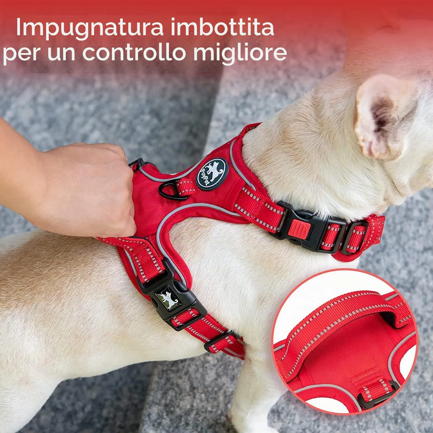 PoyPet Pettorina per cani senza trazione, riflettente, regolabile e imbottita con impugnatura di controllo, XS, Bordo rosso - immagine 5