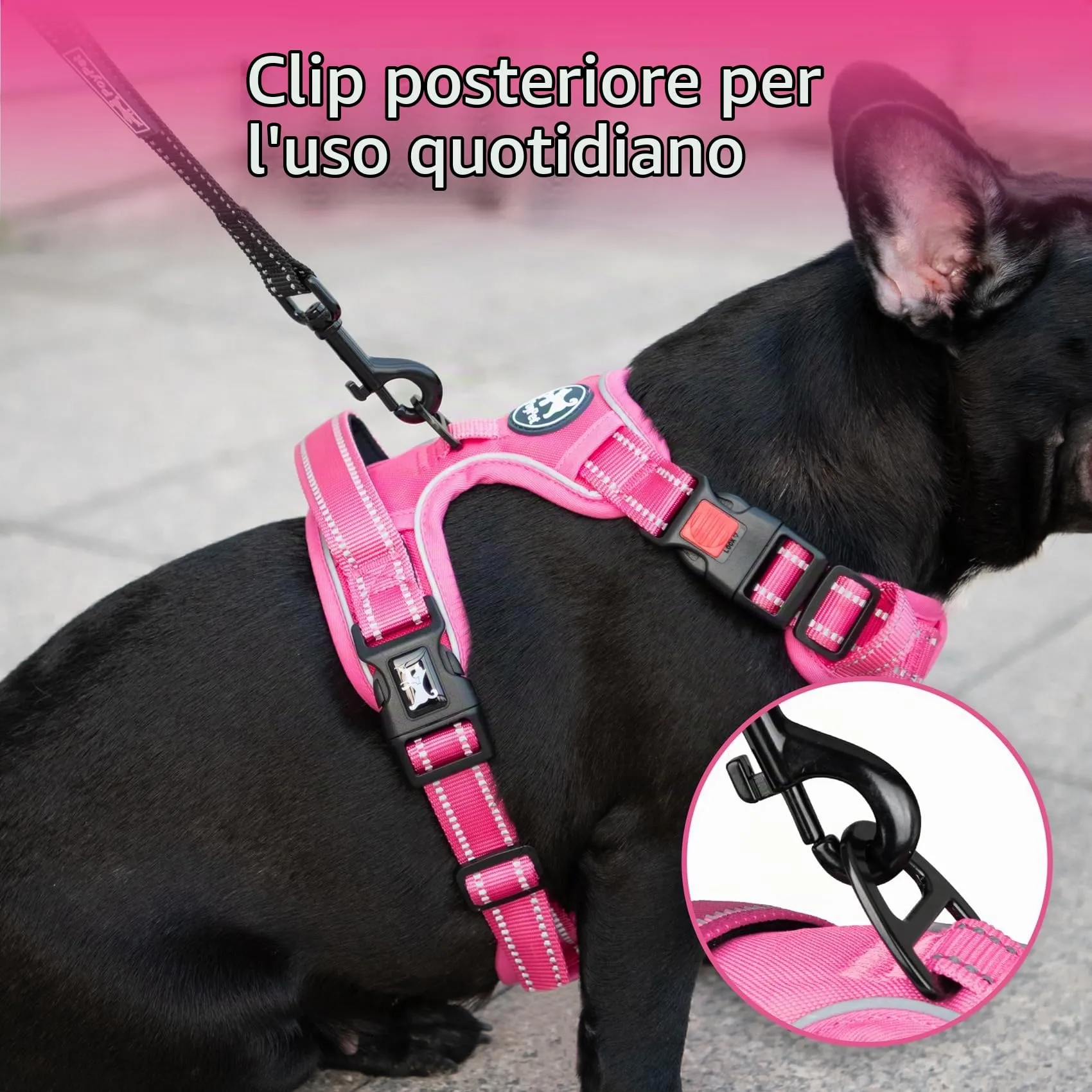 PoyPet Pettorina per cani senza tirare, riflettente, regolabile e imbottita con impugnatura Easy Control, taglia XS - immagine 3