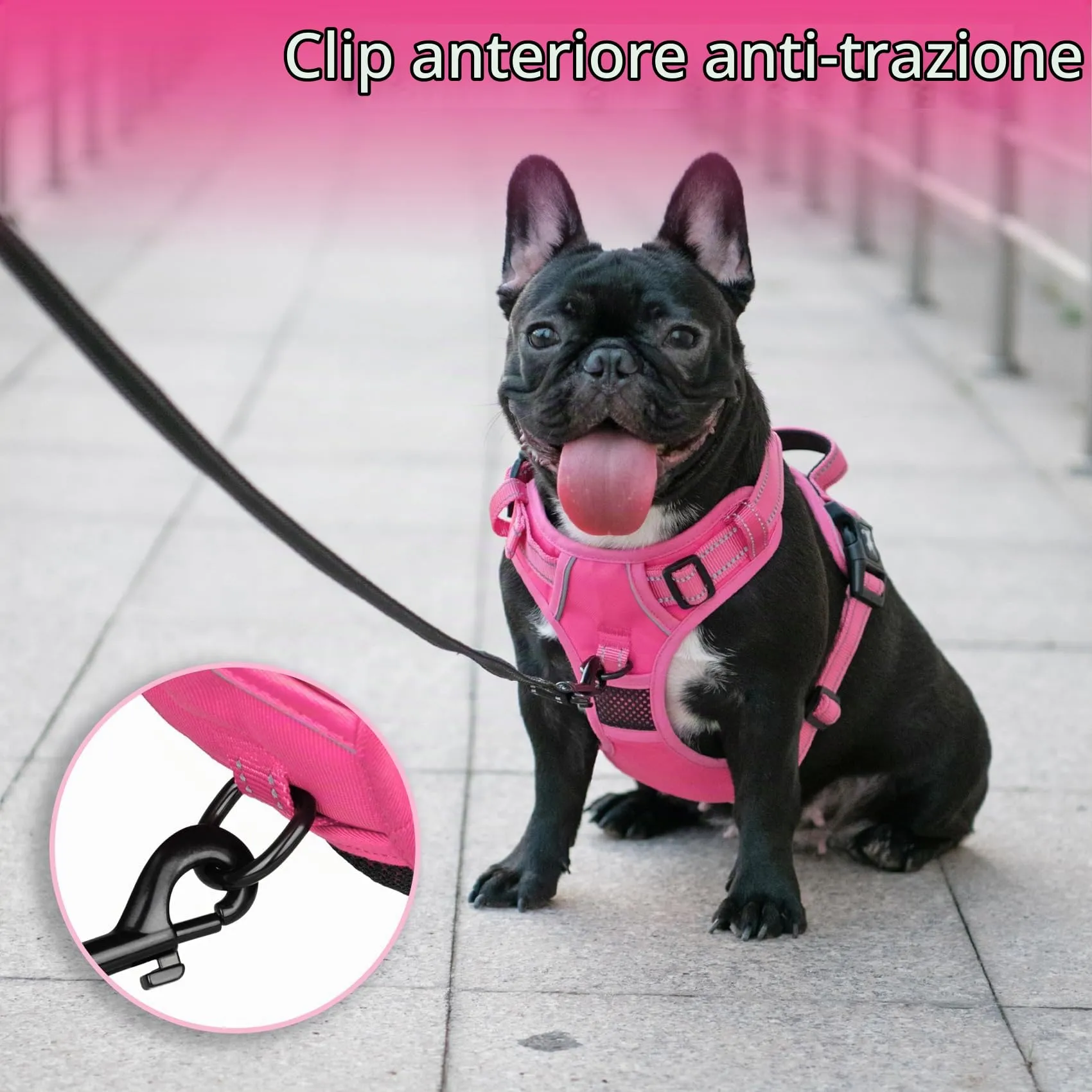 PoyPet Pettorina per cani senza tirare, riflettente, regolabile e imbottita con impugnatura Easy Control, taglia XS - immagine 4