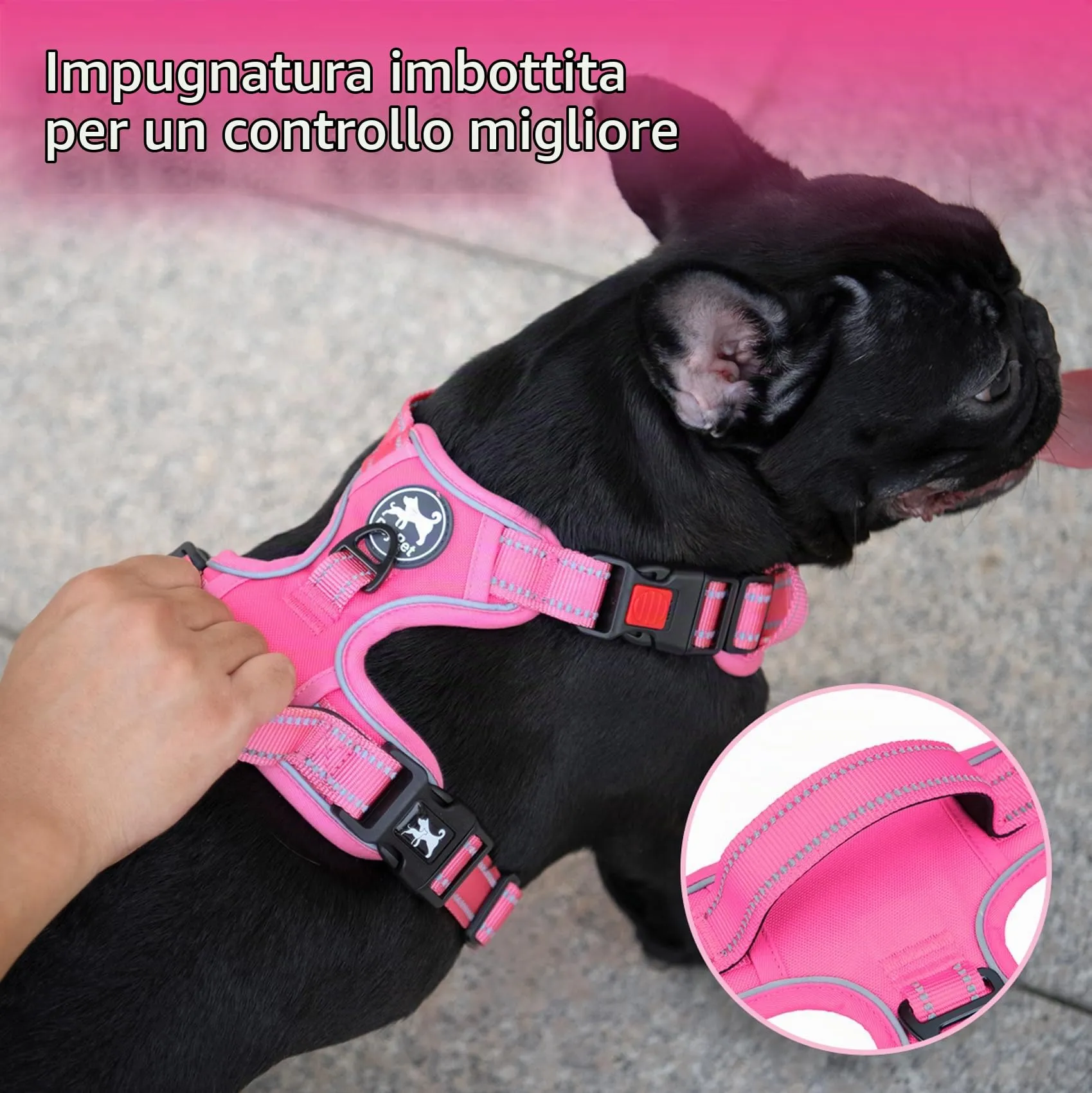 PoyPet Pettorina per cani senza tirare, riflettente, regolabile e imbottita con impugnatura Easy Control, taglia XS - immagine 6