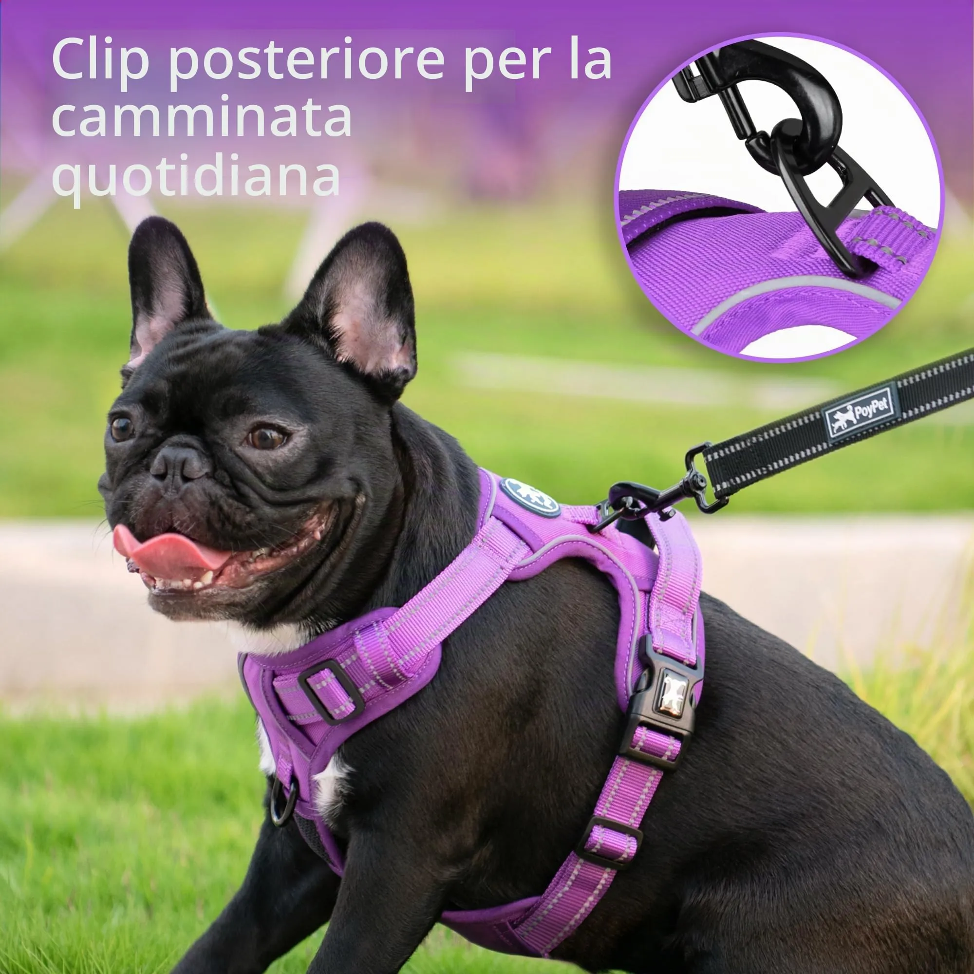 PoyPet Guinzaglio riflettente antisoffocamento regolabile con impugnatura Easy Control, viola, taglia XS - immagine 3