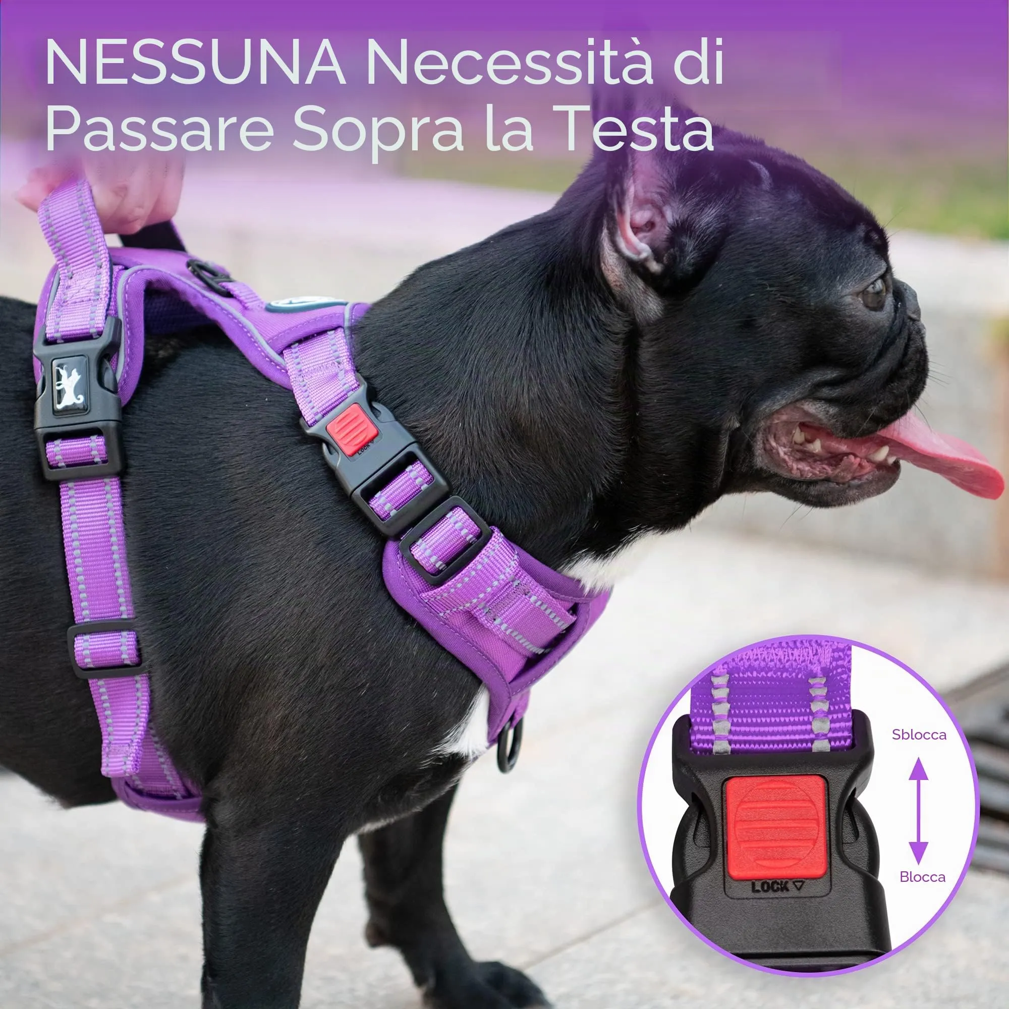 PoyPet Guinzaglio riflettente antisoffocamento regolabile con impugnatura Easy Control, viola, taglia XS - immagine 5