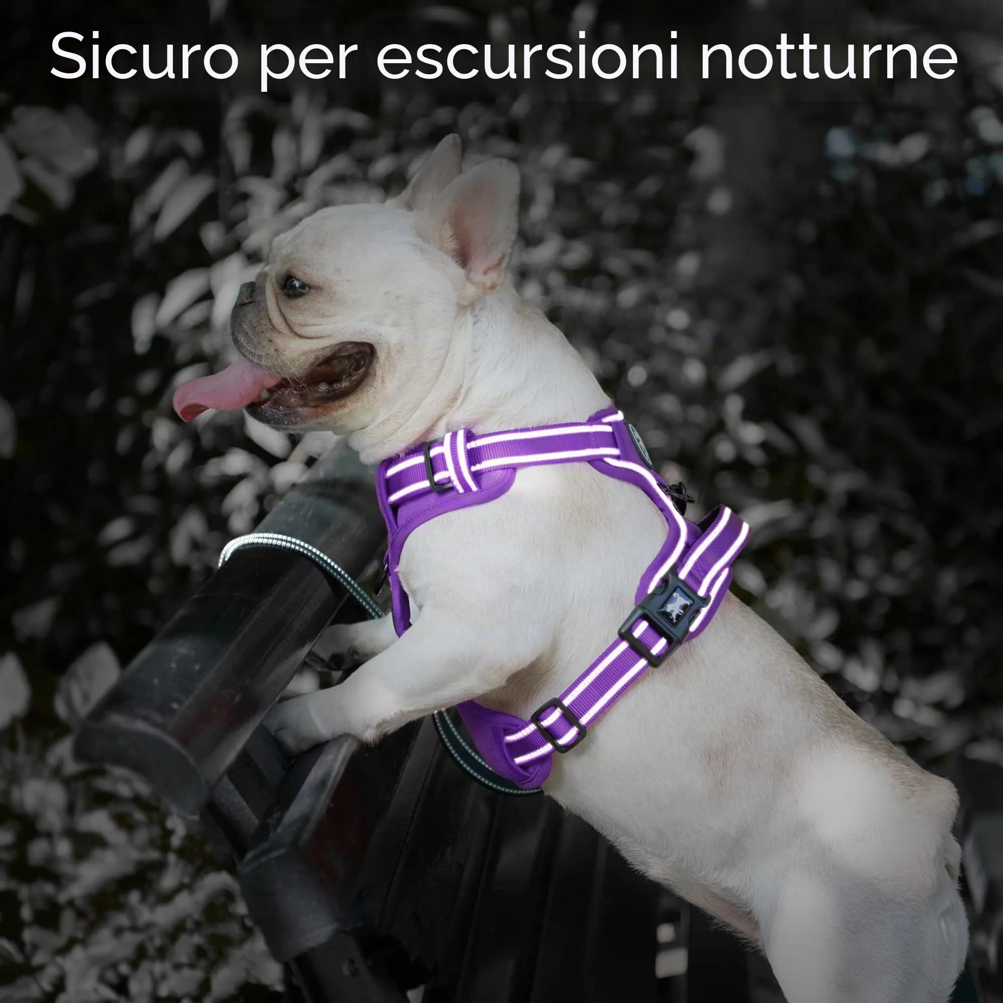 PoyPet Guinzaglio riflettente antisoffocamento regolabile con impugnatura Easy Control, viola, taglia XS - immagine 7