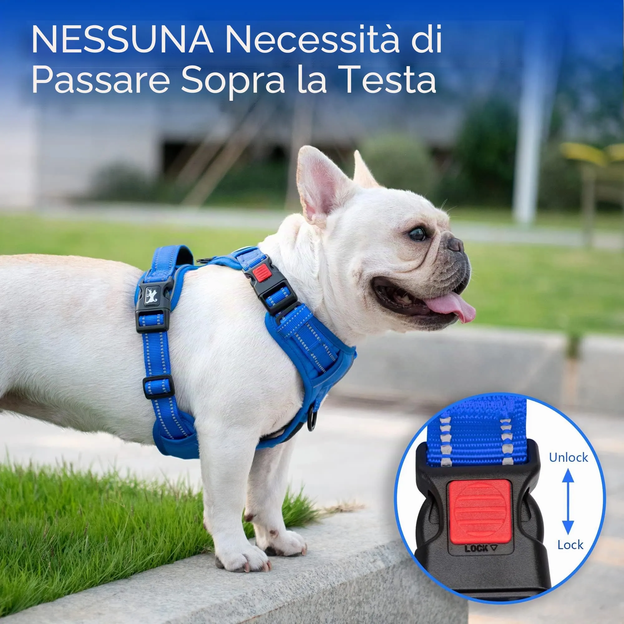 PoyPet Pettorina Anti-trazione Riflettente per Cani, Regolabile e Imbottita con Impugnatura Easy Control, Blu Zaffiro, Taglia XS - immagine 3