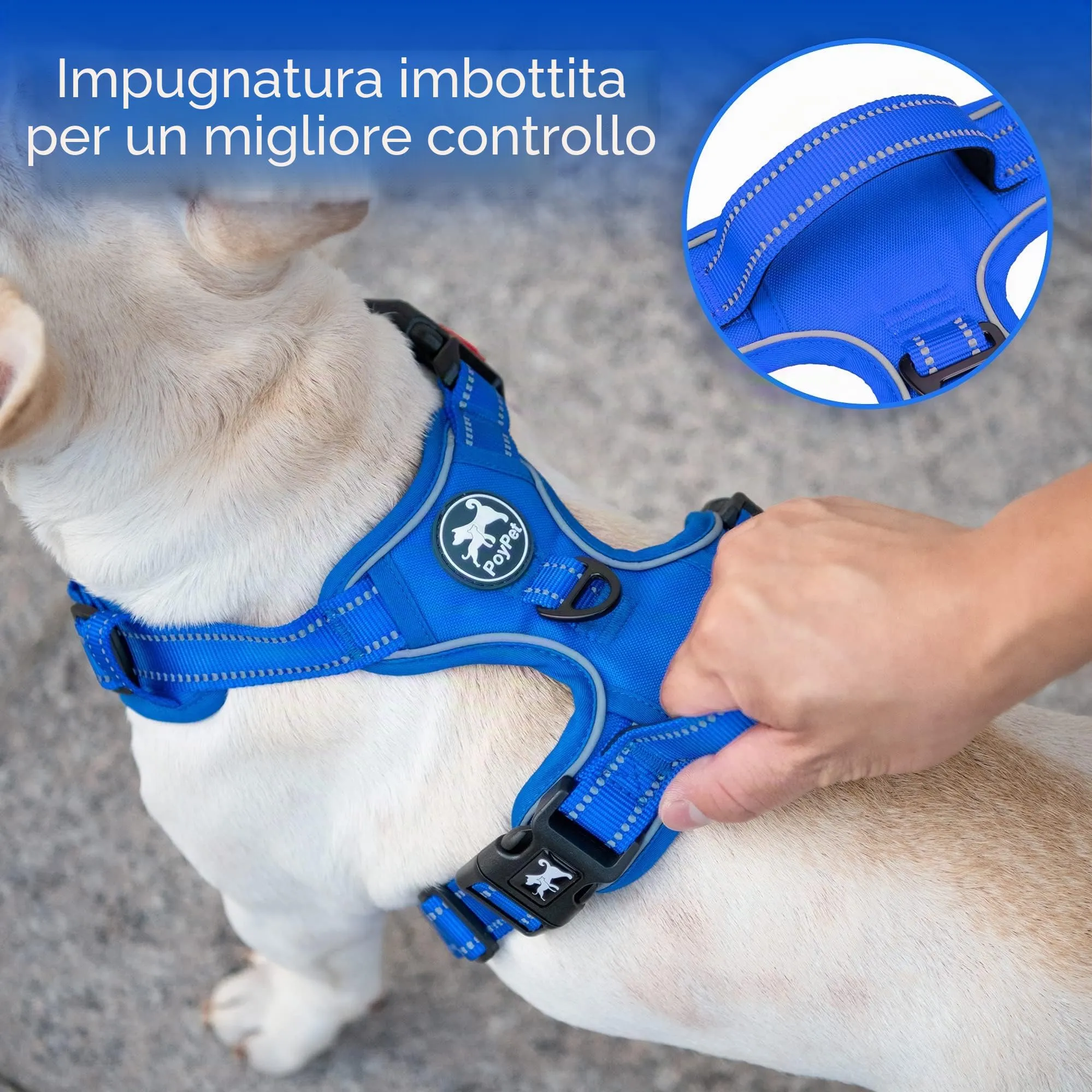 PoyPet Pettorina Anti-trazione Riflettente per Cani, Regolabile e Imbottita con Impugnatura Easy Control, Blu Zaffiro, Taglia XS - immagine 4