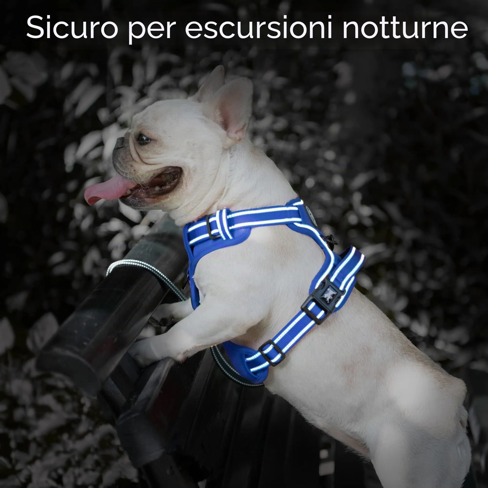 PoyPet Pettorina Anti-trazione Riflettente per Cani, Regolabile e Imbottita con Impugnatura Easy Control, Blu Zaffiro, Taglia XS - immagine 7