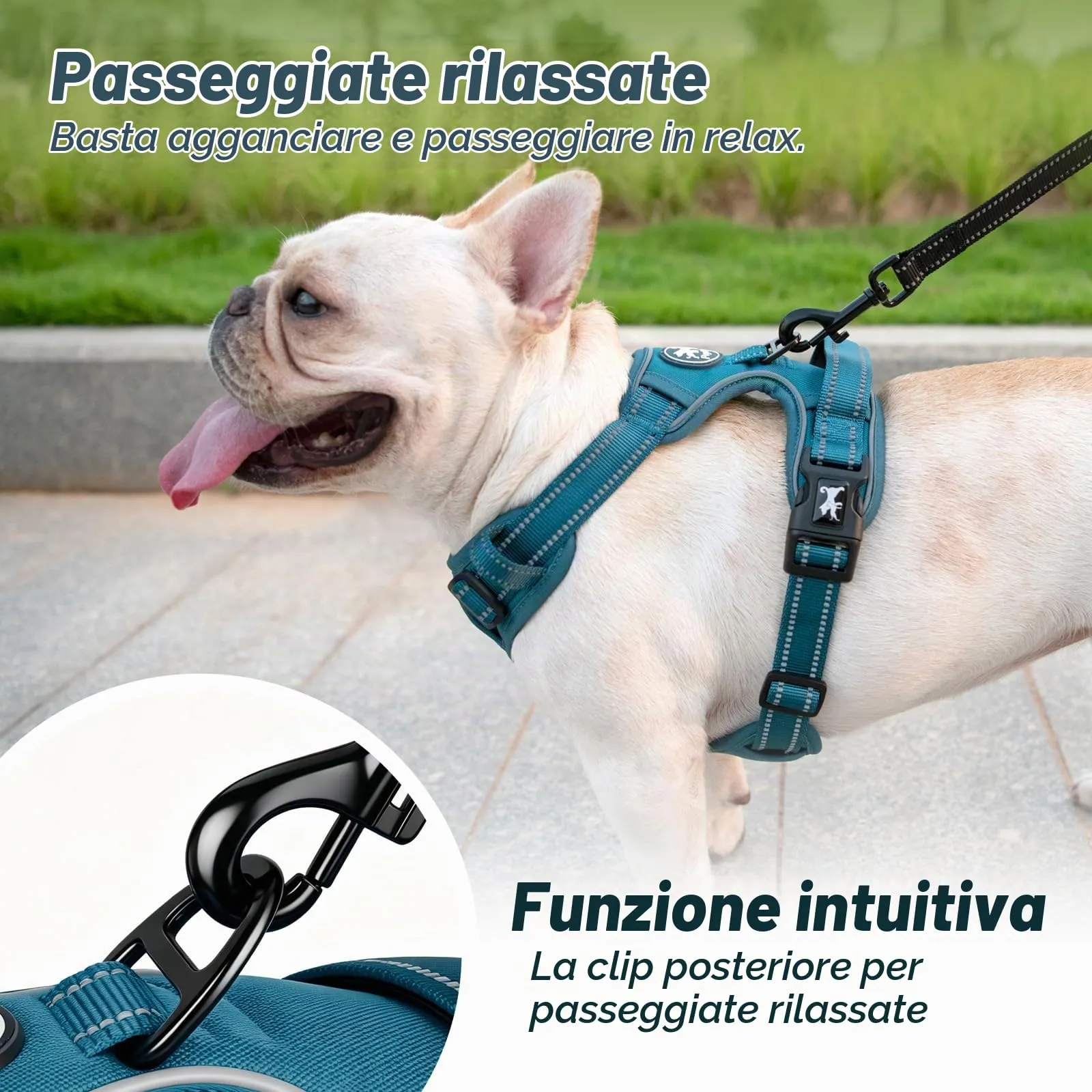 PoyPet Pettorina Anti-trazione Riflettente per Cani, Imbottitura Morbida e Impugnatura Easy Control, Tumalo Teal, XS - immagine 7