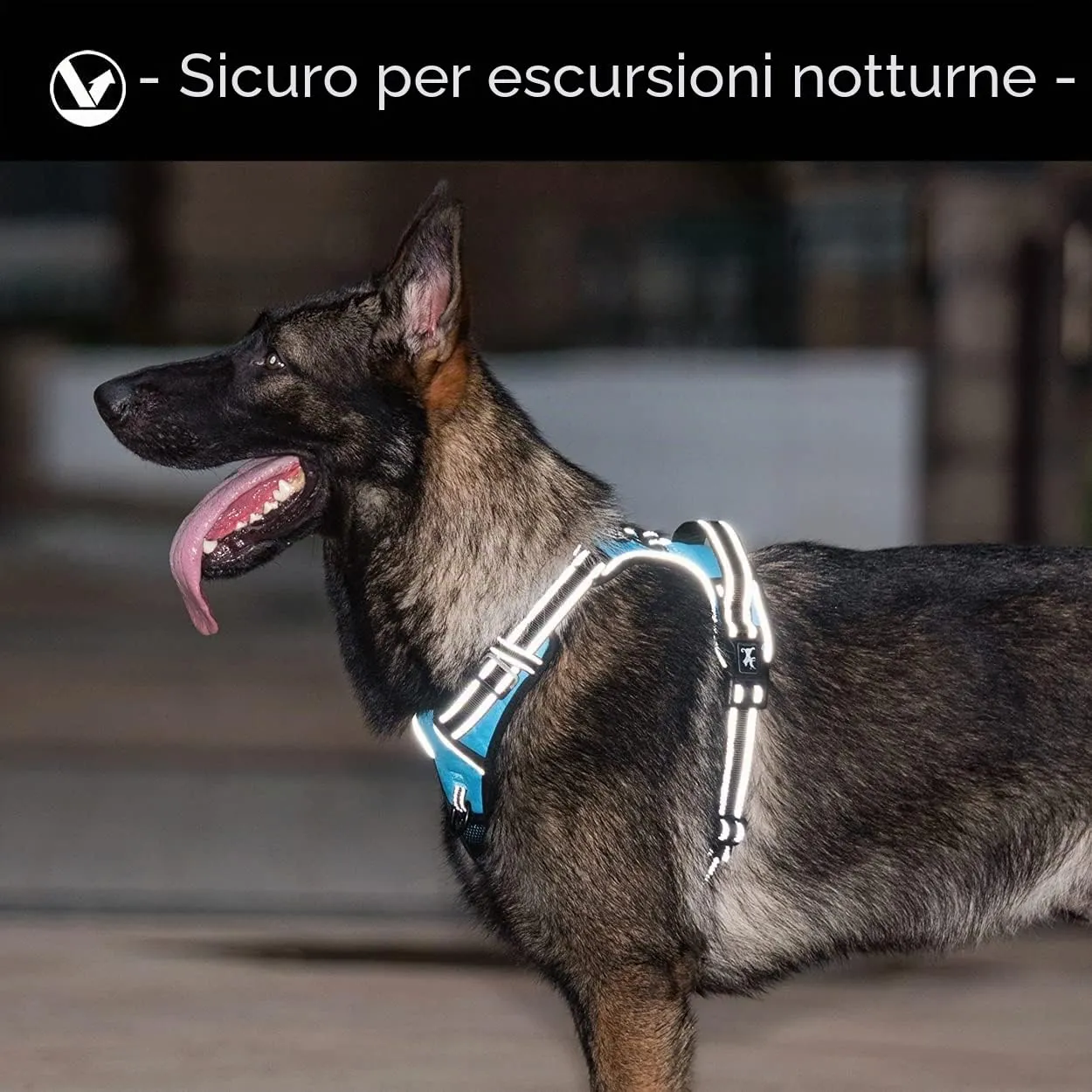 PoyPet Pettorina per cani senza tirare riflettente, regolabile e imbottita con impugnatura Easy Control, Blu - immagine 6