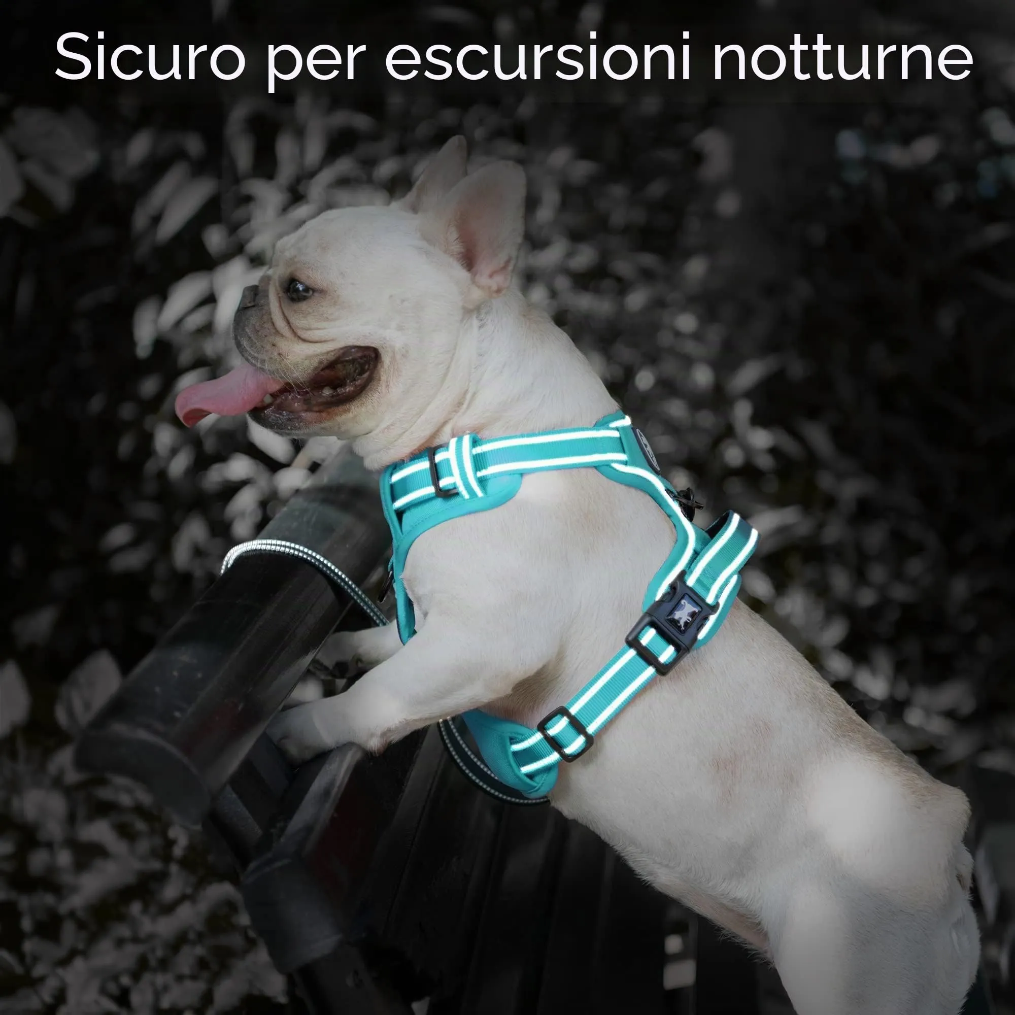 PoyPet Pettorina per Cani Anti-Tirata Riflettente Regolabile con Maniglia, Imbottitura Morbida, Blu - immagine 7