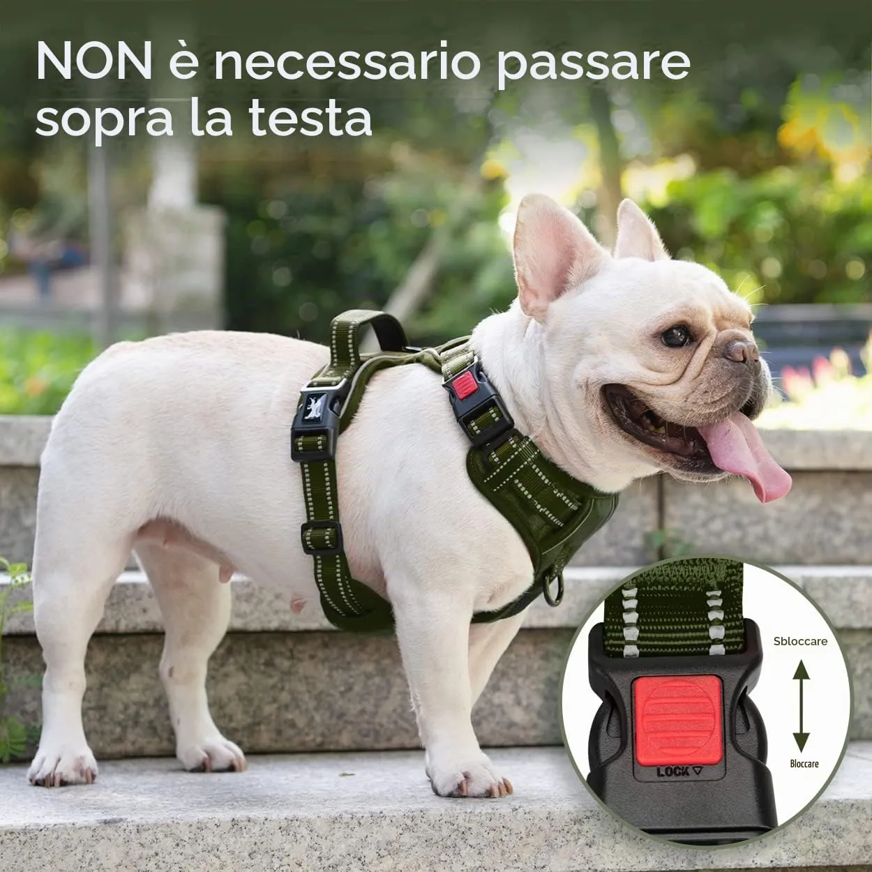 PoyPet Imbracatura per cani riflettente anti-trazione, regolabile e imbottita, verde militare, L - immagine 4