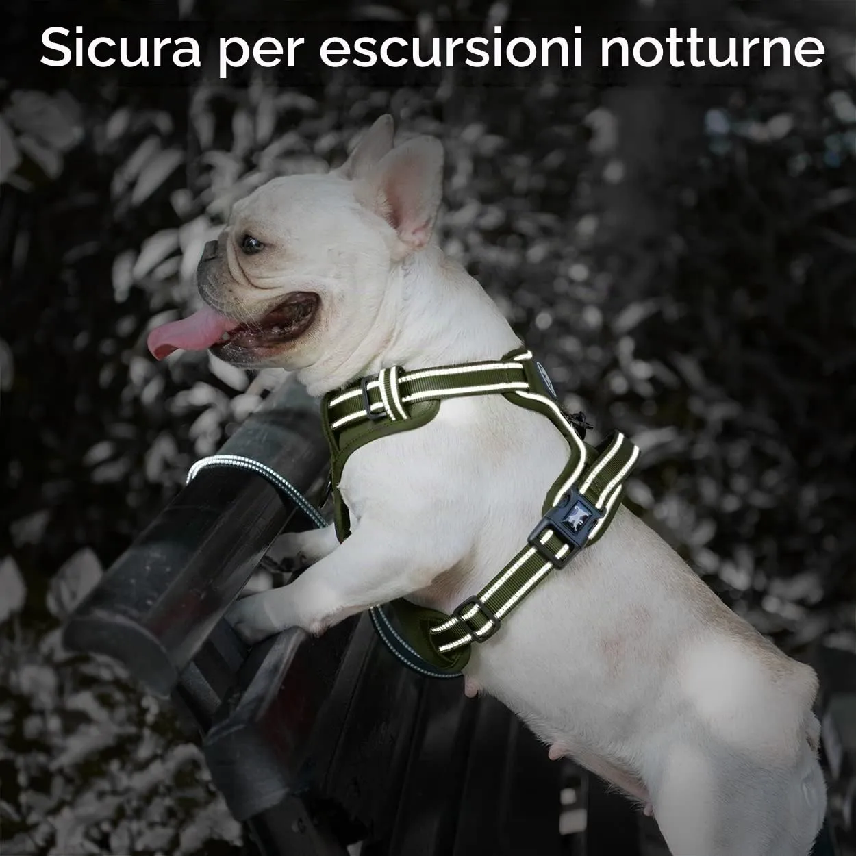 PoyPet Imbracatura per cani riflettente anti-trazione, regolabile e imbottita, verde militare, L - immagine 7