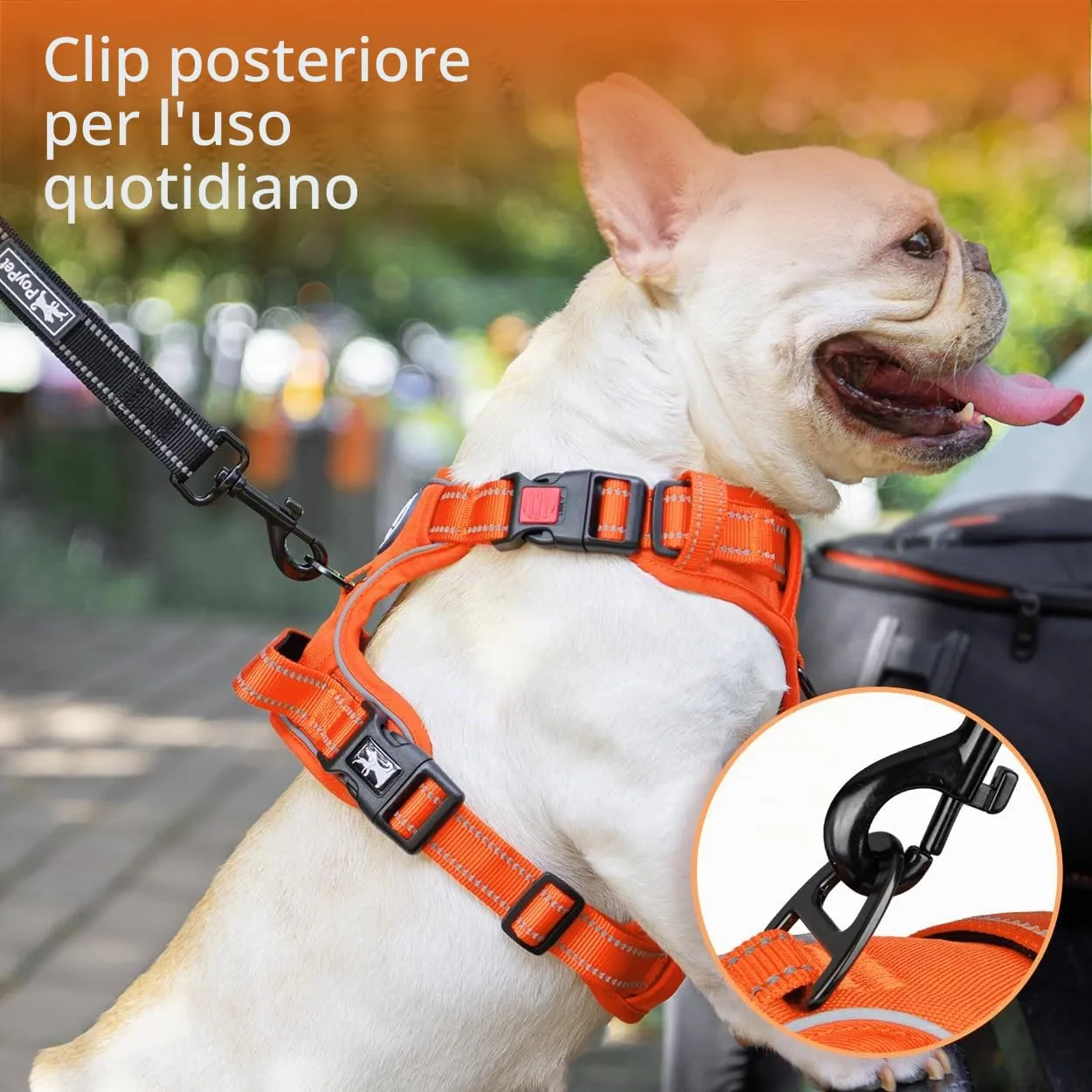 PoyPet Pettorina Anti-tiro Riflettente per Cani, Regolabile e Imbottita con Manico Easy Control, Arancione, M - immagine 3