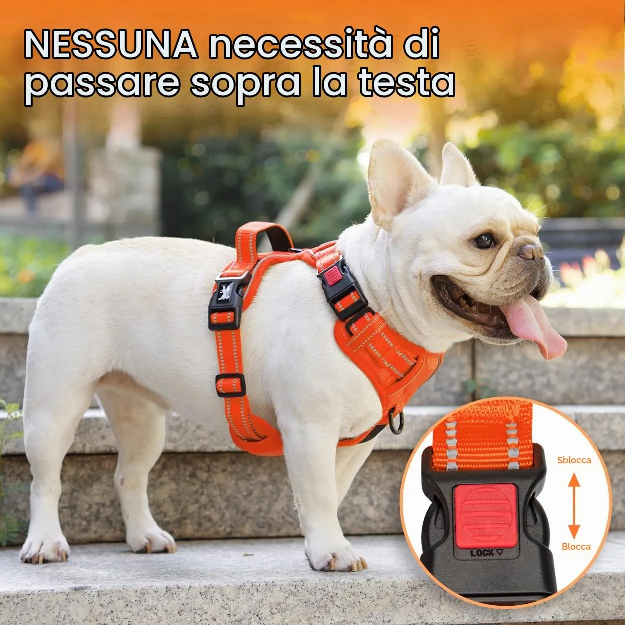 PoyPet Pettorina Anti-tiro Riflettente per Cani, Regolabile e Imbottita con Manico Easy Control, Arancione, M - immagine 5