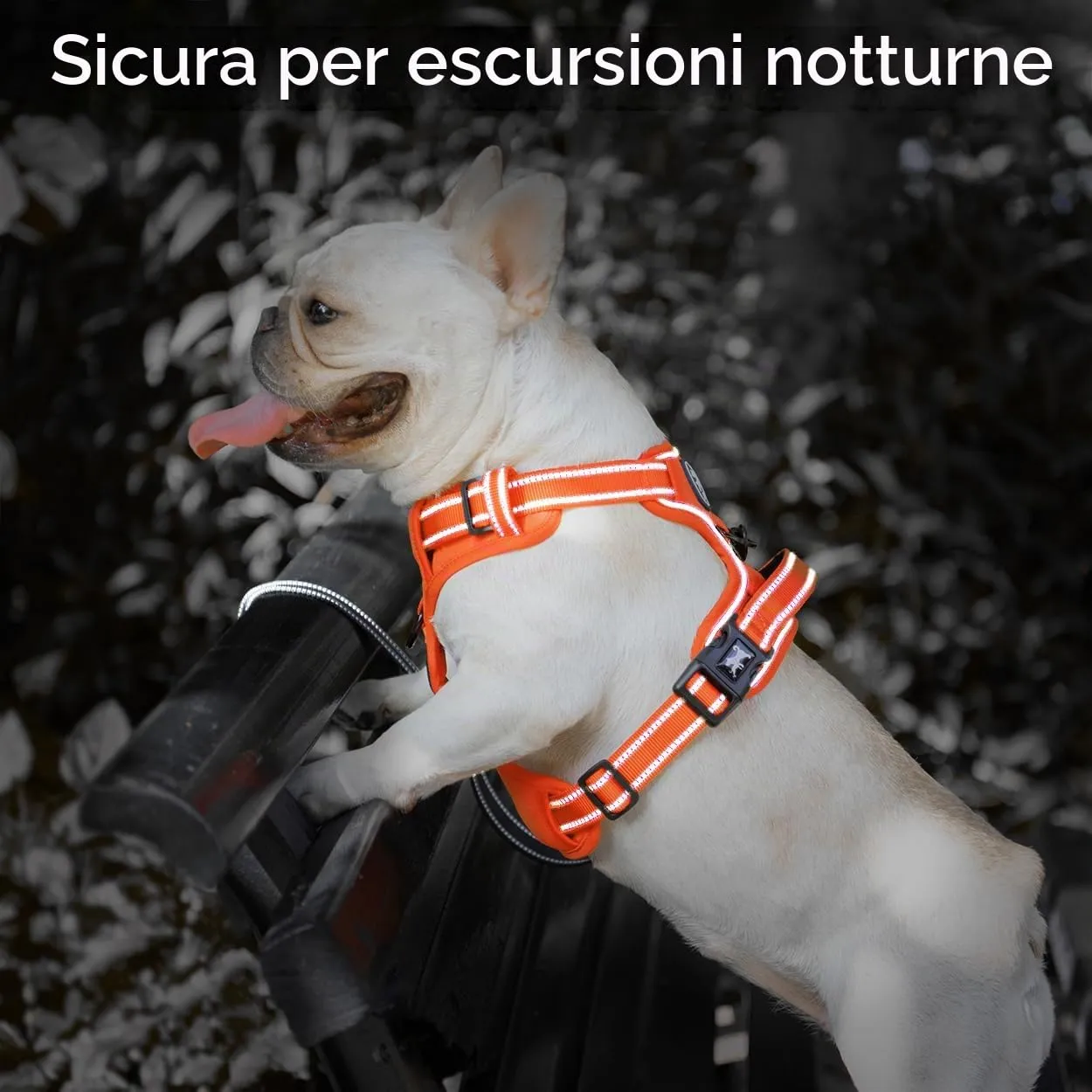PoyPet Pettorina Anti-tiro Riflettente per Cani, Regolabile e Imbottita con Manico Easy Control, Arancione, M - immagine 7
