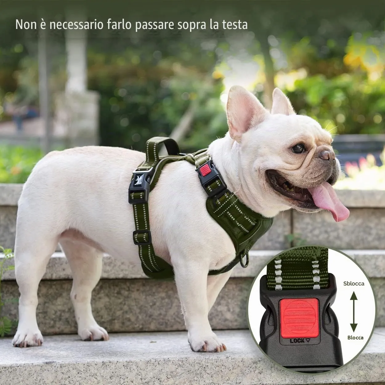 PoyPet Imbracatura per cani senza tirare, riflettente e imbottita con manico, Verde, Taglia M - immagine 3