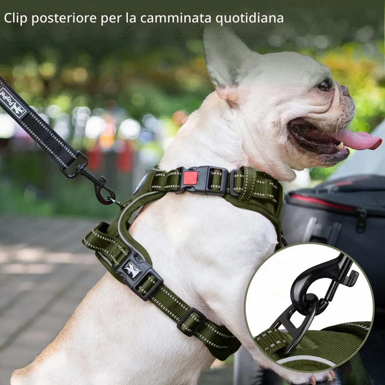 PoyPet Imbracatura per cani senza tirare, riflettente e imbottita con manico, Verde, Taglia M - immagine 5