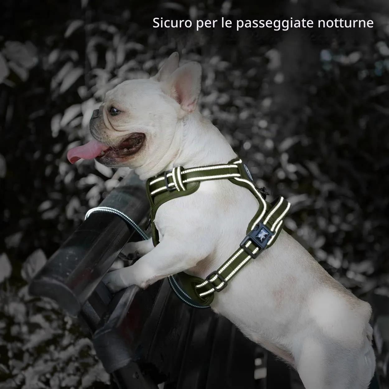 PoyPet Imbracatura per cani senza tirare, riflettente e imbottita con manico, Verde, Taglia M - immagine 8