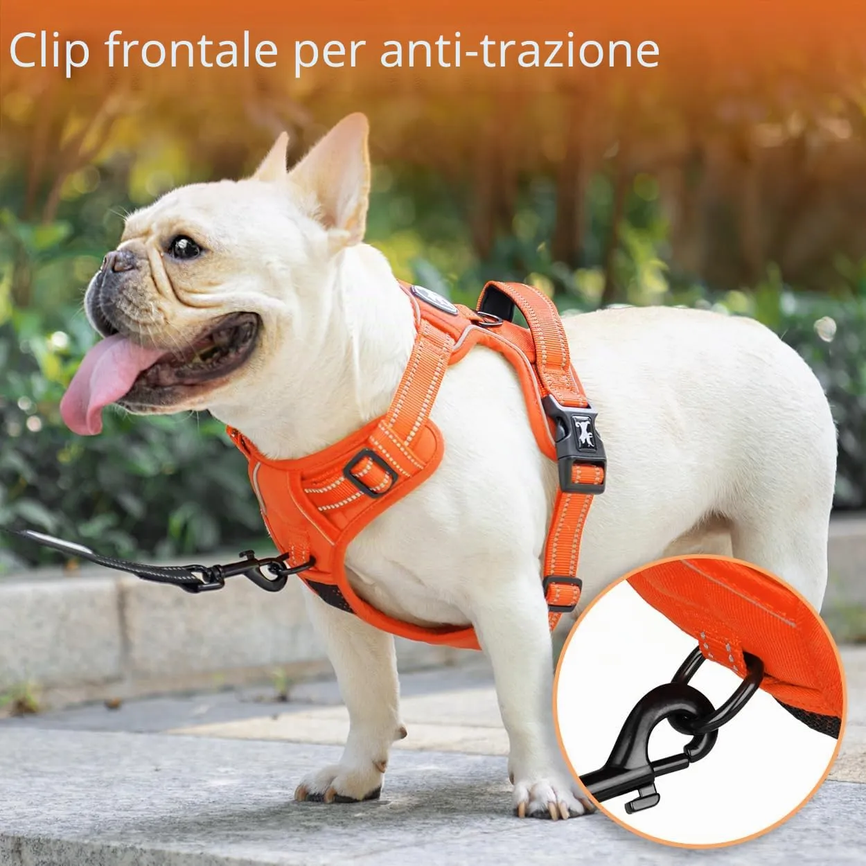 PoyPet Pettorina No Pull Riflettente Regolabile con Maniglia per Cani (Arancio, XL) - immagine 4