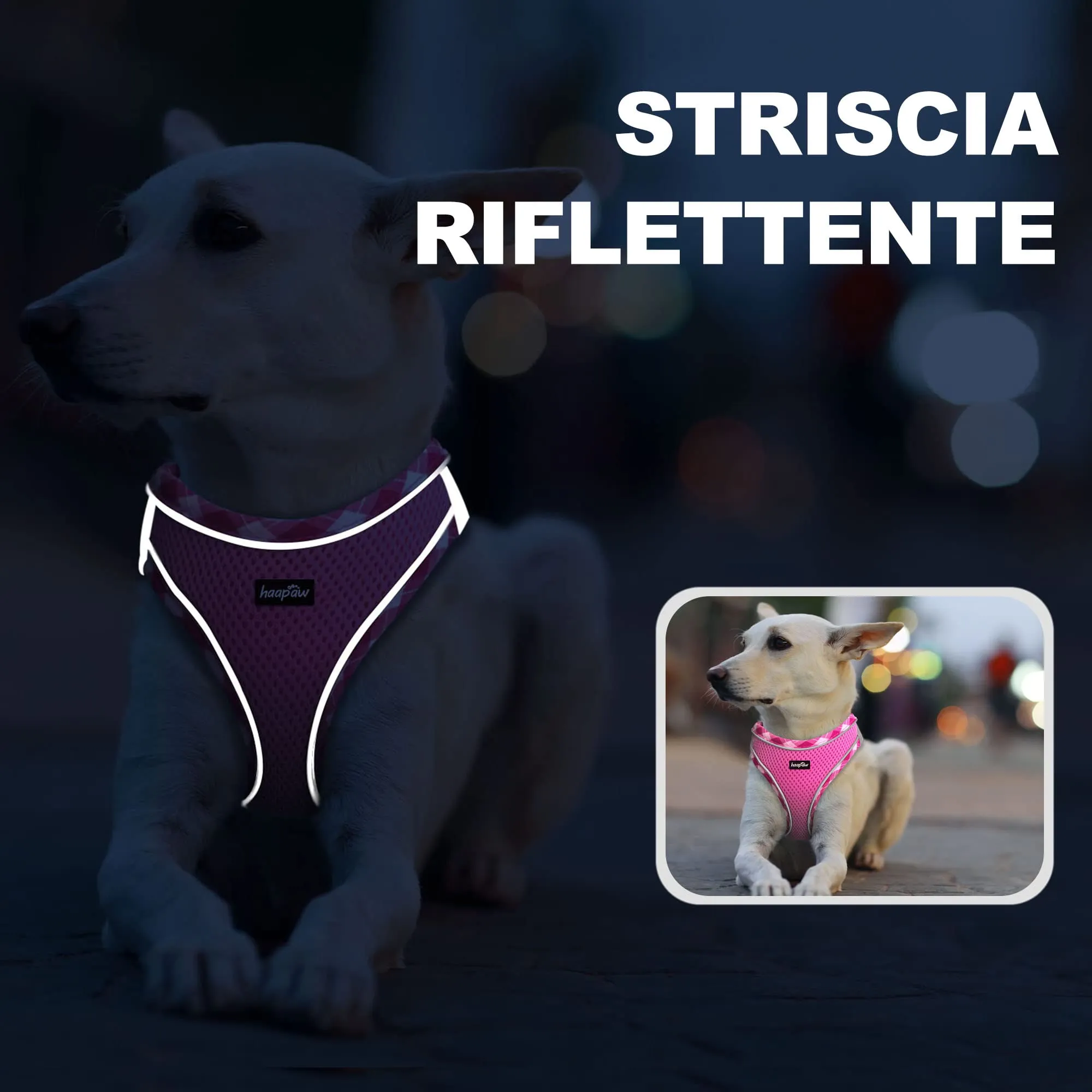 haapaw Pettorina e guinzaglio per cani, Step-in, riflettente, imbottita, rosa, S - immagine 5