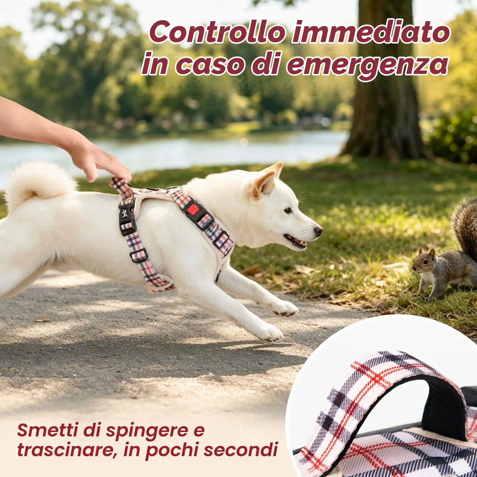 PoyPet Imbracatura Antiriflesso per Cani con Controllo Anteriore e Impugnatura, Beige a Quadri, M - immagine 8