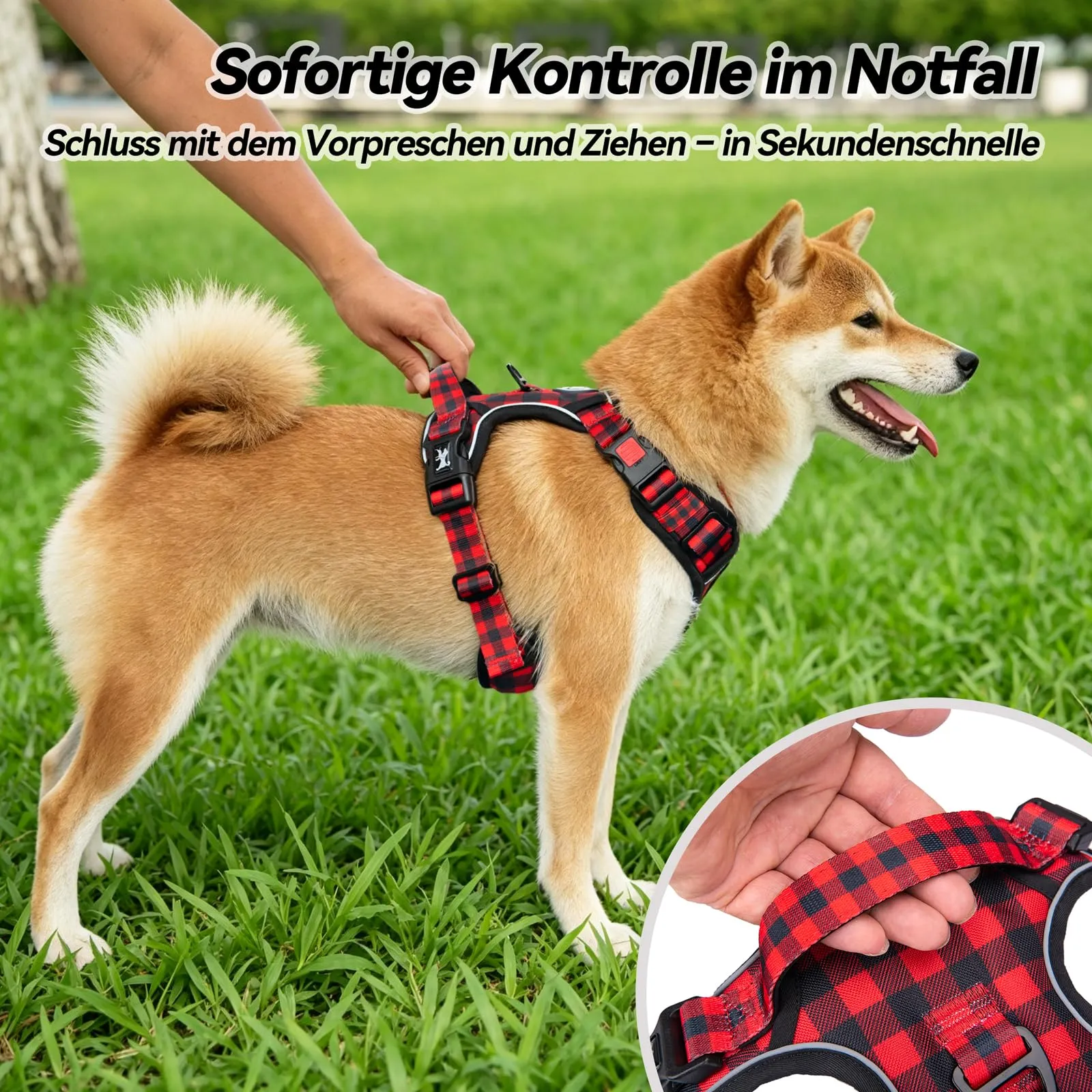 PoyPet Imbracatura per cani no pull anteriore catarifrangente con impugnatura, XS - immagine 8