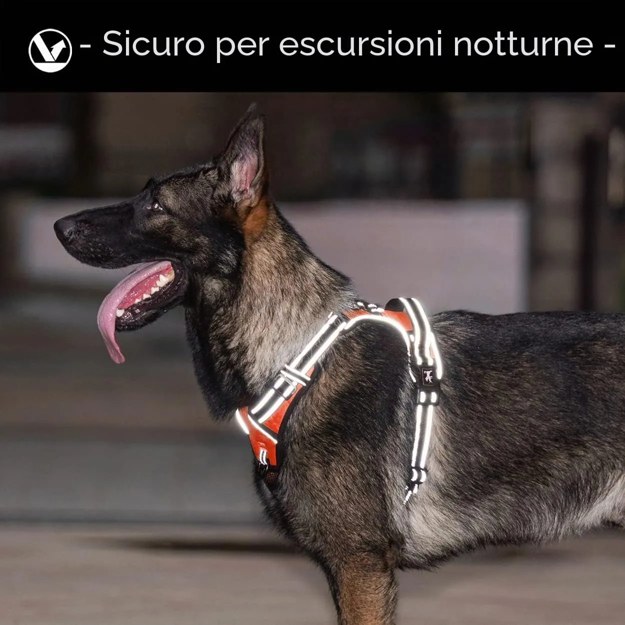 PoyPet Imbracatura Antiriflesso per Cani con Controllo Anteriore, Arancione, L - immagine 6