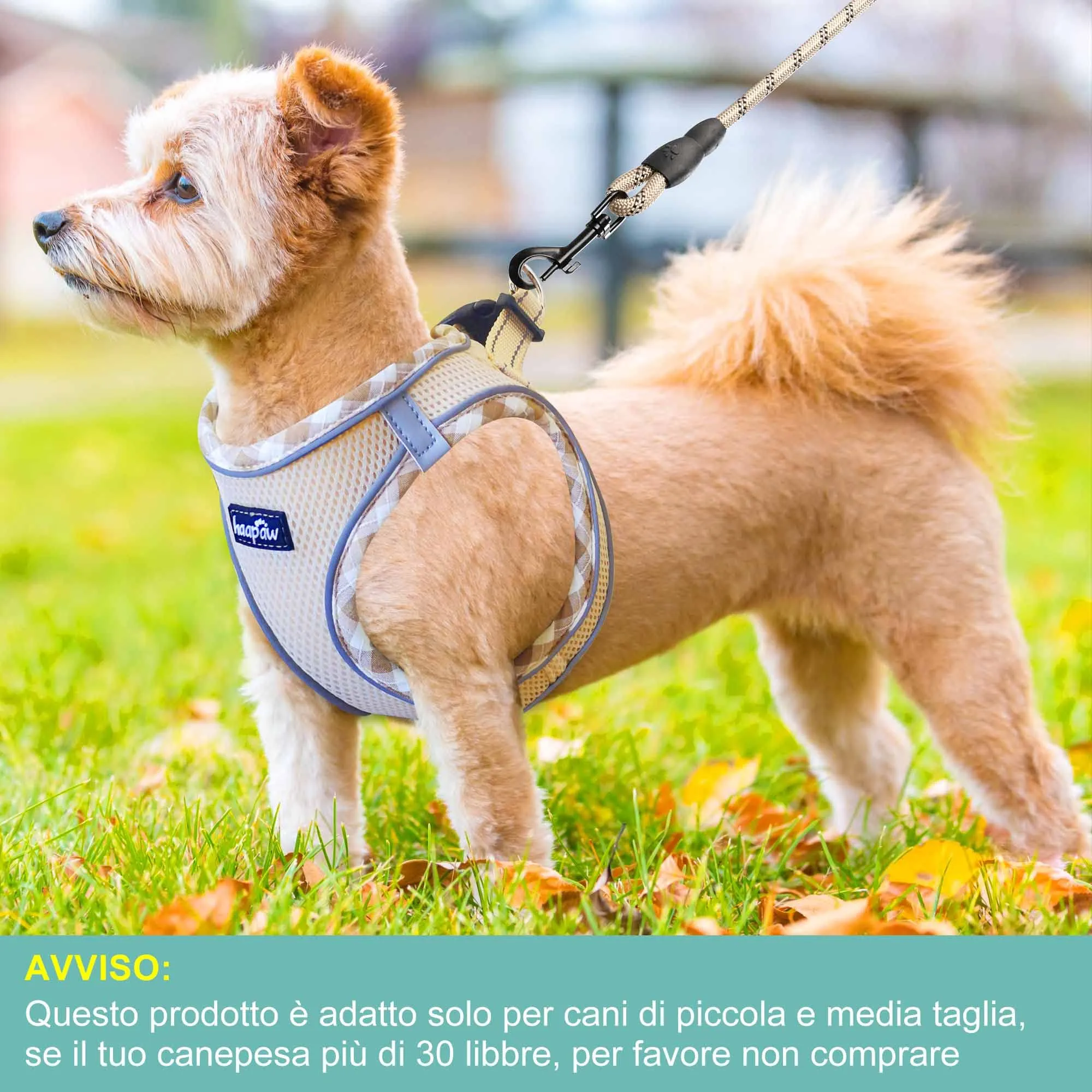 haapaw Pettorina e Guinzaglio per Cani Step-in, Riflettente e Imbottita, Beige, L - immagine 4