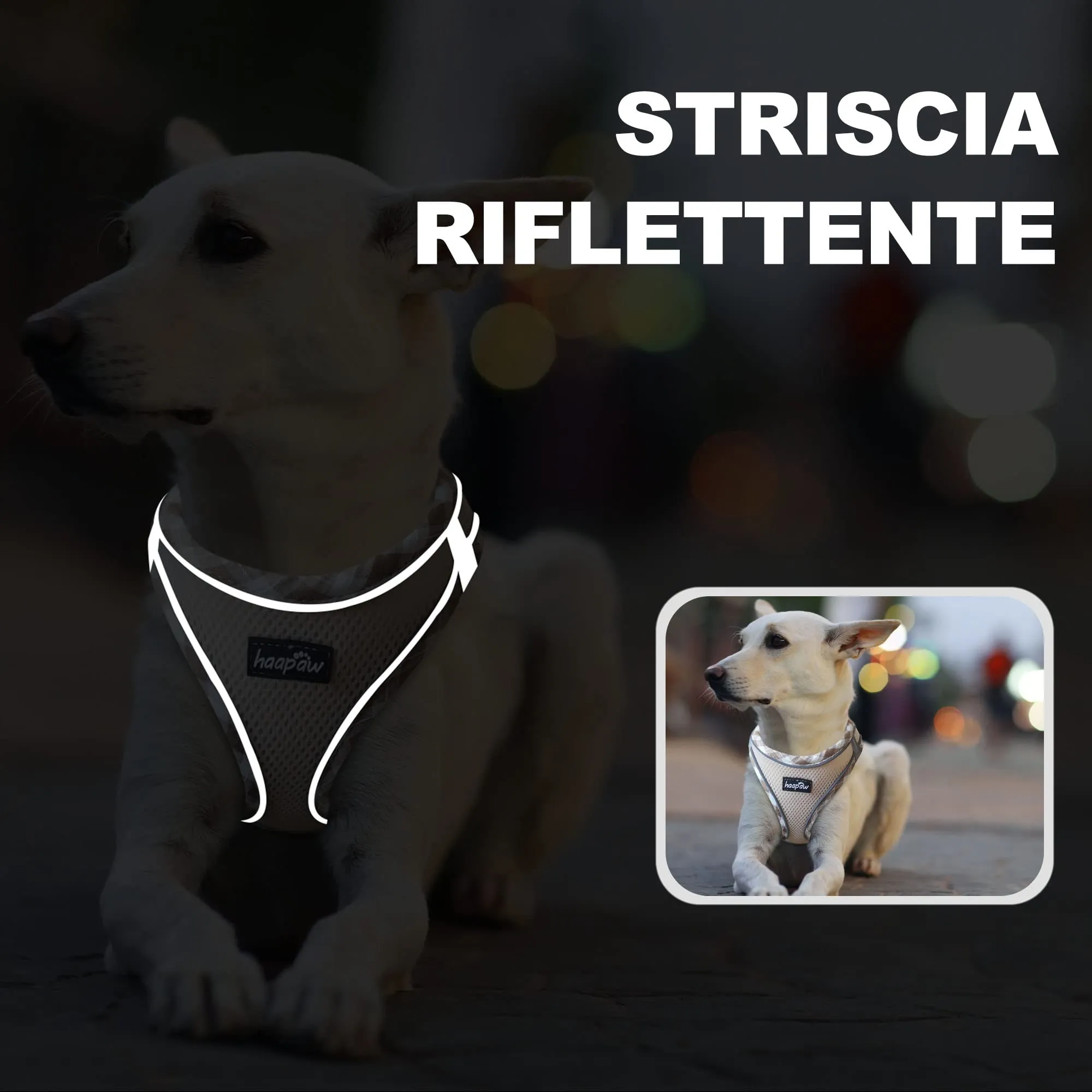 haapaw Pettorina e Guinzaglio per Cani Step-in, Riflettente e Imbottita, Beige, L - immagine 5
