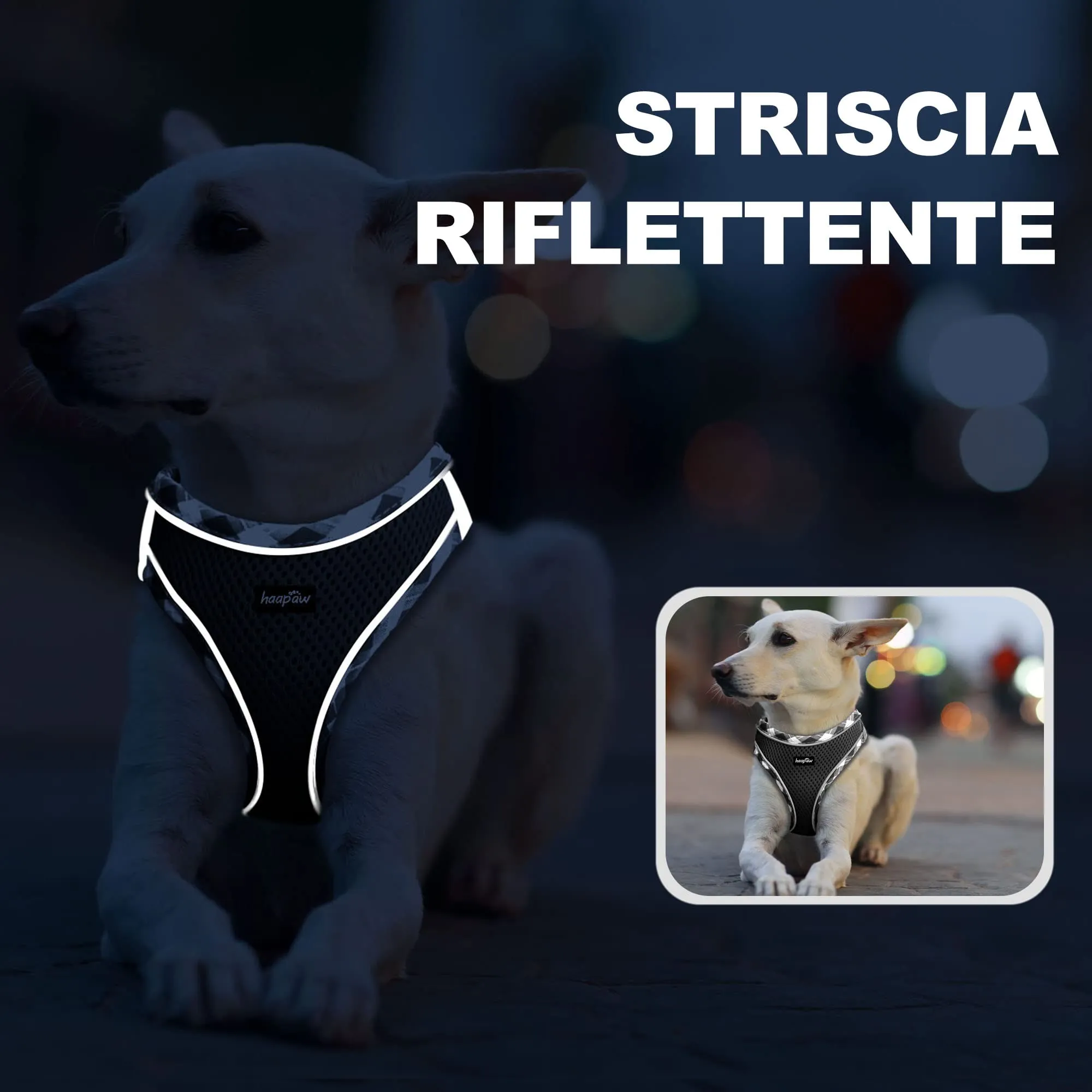 haapaw Pettorina per cani e guinzaglio, Step-in, riflettente e imbottita, nero, XS - immagine 5
