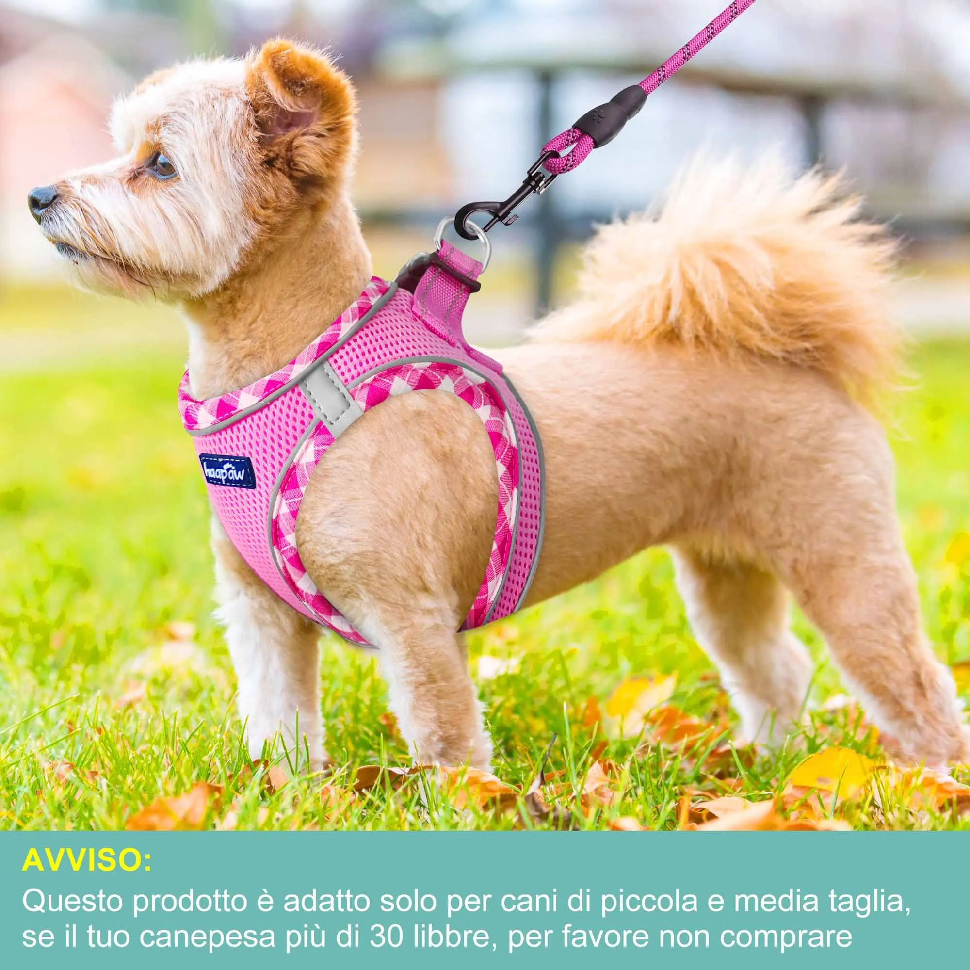 haapaw Pettorina e Guinzaglio per Cani Step-in Riflettente, Imbottita, Rosa, L - immagine 4
