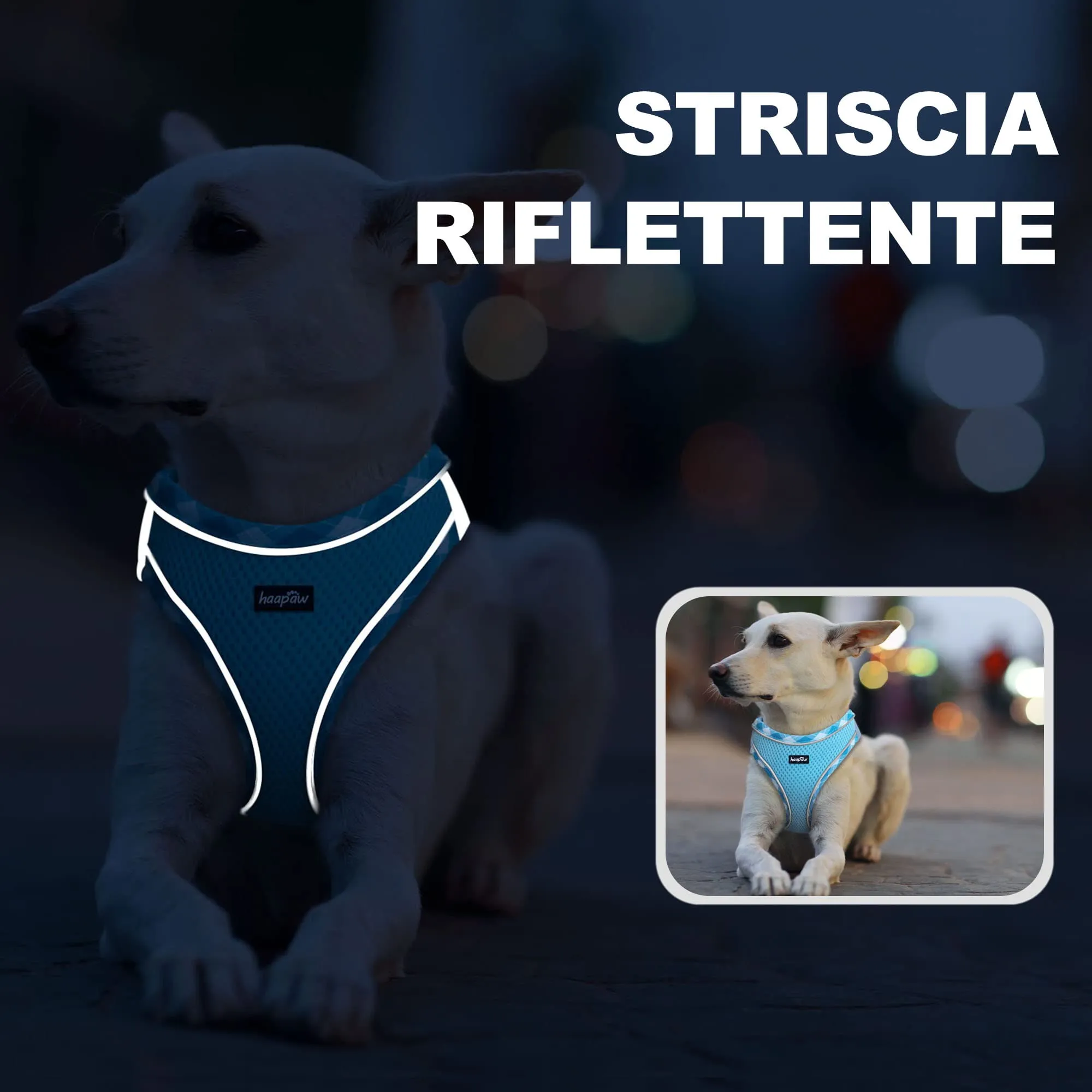 haapaw Pettorina e Guinzaglio Step-in Riflettente per Cani, Turchese, XS - immagine 5