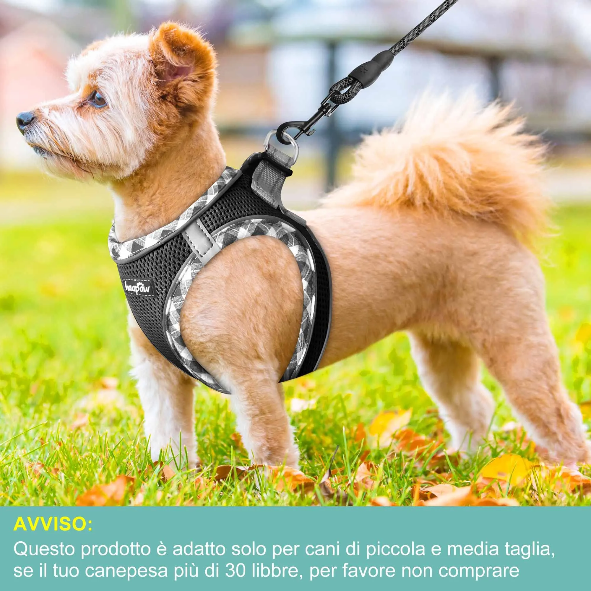 haapaw Pettorina e guinzaglio per cani, step-in, riflettente, imbottita, nero, L - immagine 4