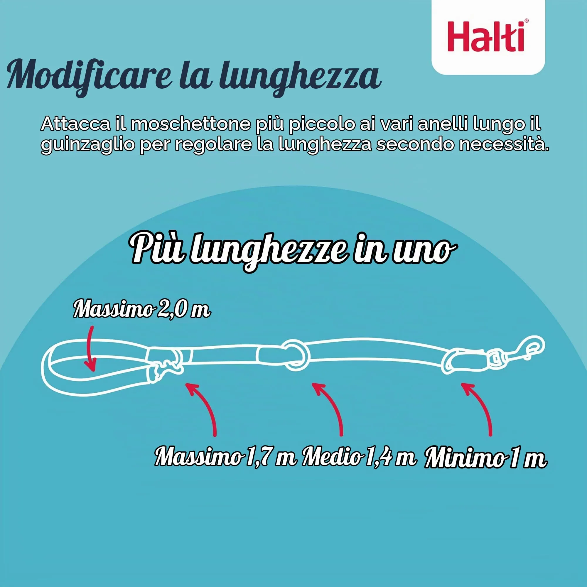 Halti Guinzaglio da addestramento, Taglia S, Noce Intenso - immagine 2