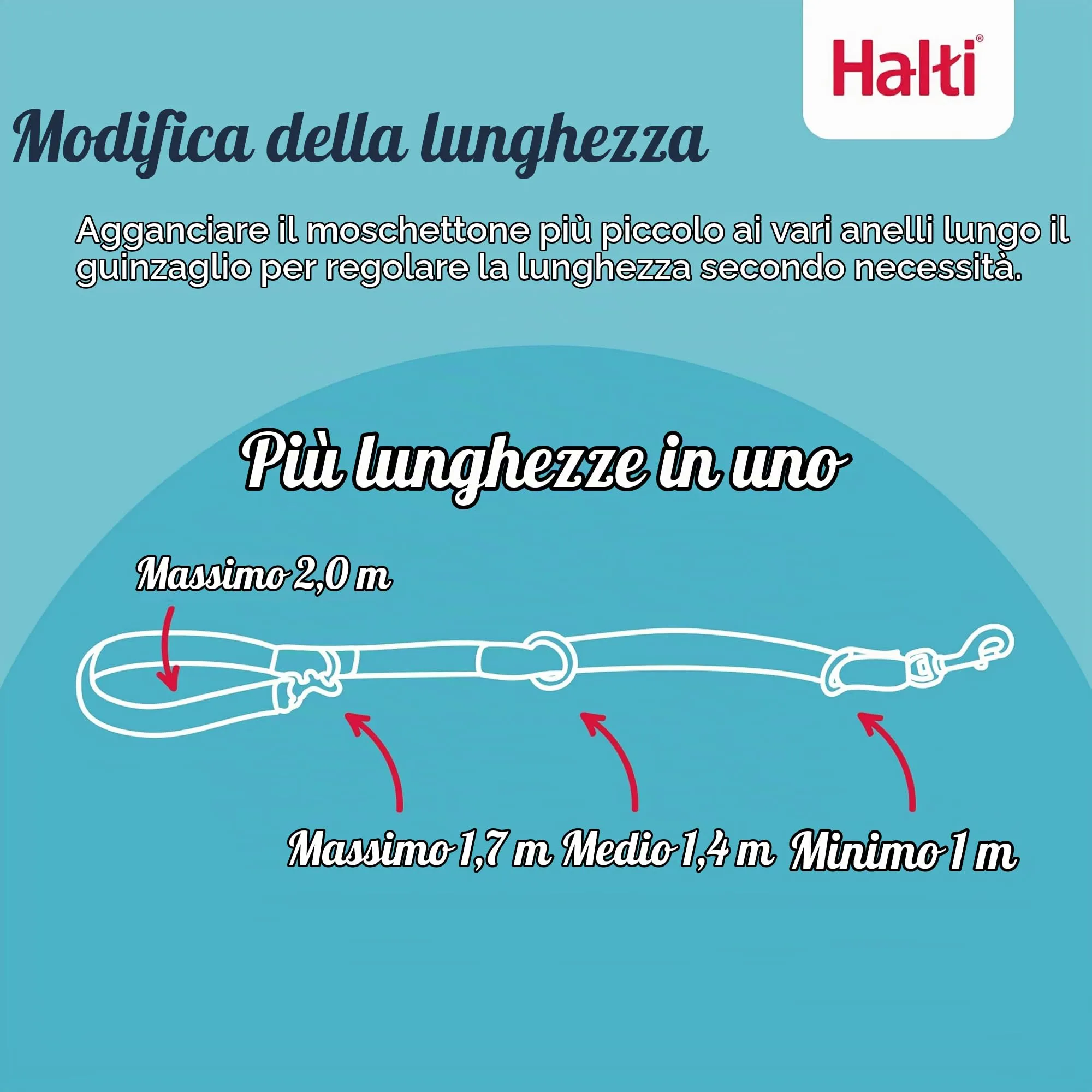 Halti Guinzaglio da addestramento per cani, Taglia L, Noce Intenso - immagine 2
