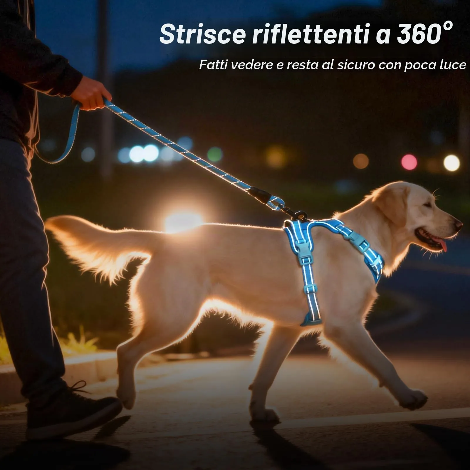 PoyPet Imbracatura per cani anti-trazione riflettente regolabile con manico, cielo blu, XS - immagine 7