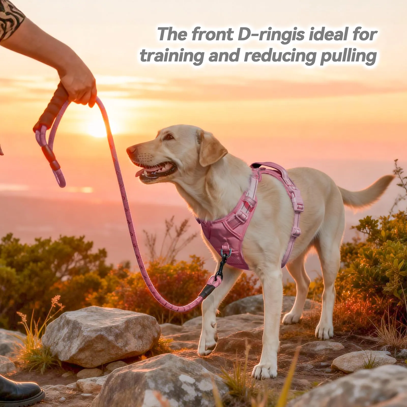 PoyPet Pettorina per Cani Riflettente, Regolabile e Imbottita con Maniglia Easy Control (Rosa, L) - immagine 4