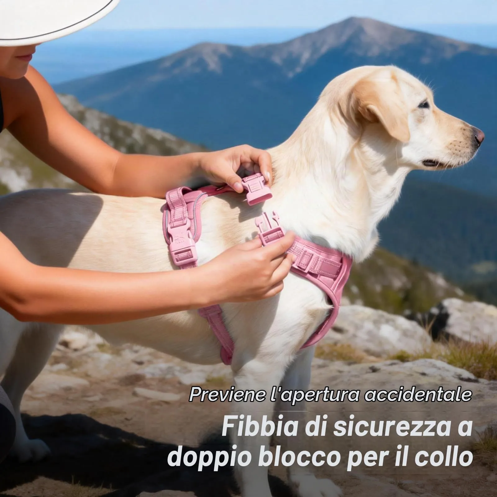 PoyPet Pettorina Riflettente Anti-trazione per Cani con Manico Easy Control, Rosa, M - immagine 3